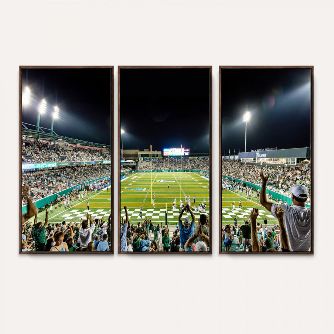 The Tulane University Green Wave Football Team Print, New Orleans Yulman Stadium