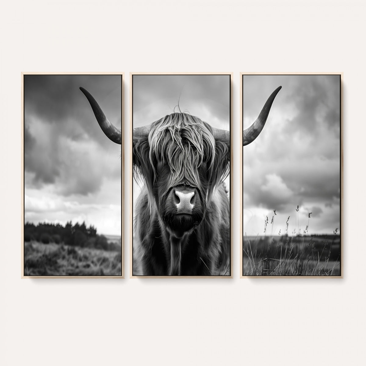 17924-_Poster-30x20 - Scottish Cow Wall Art Canvas Print, Longhorn Wall Art