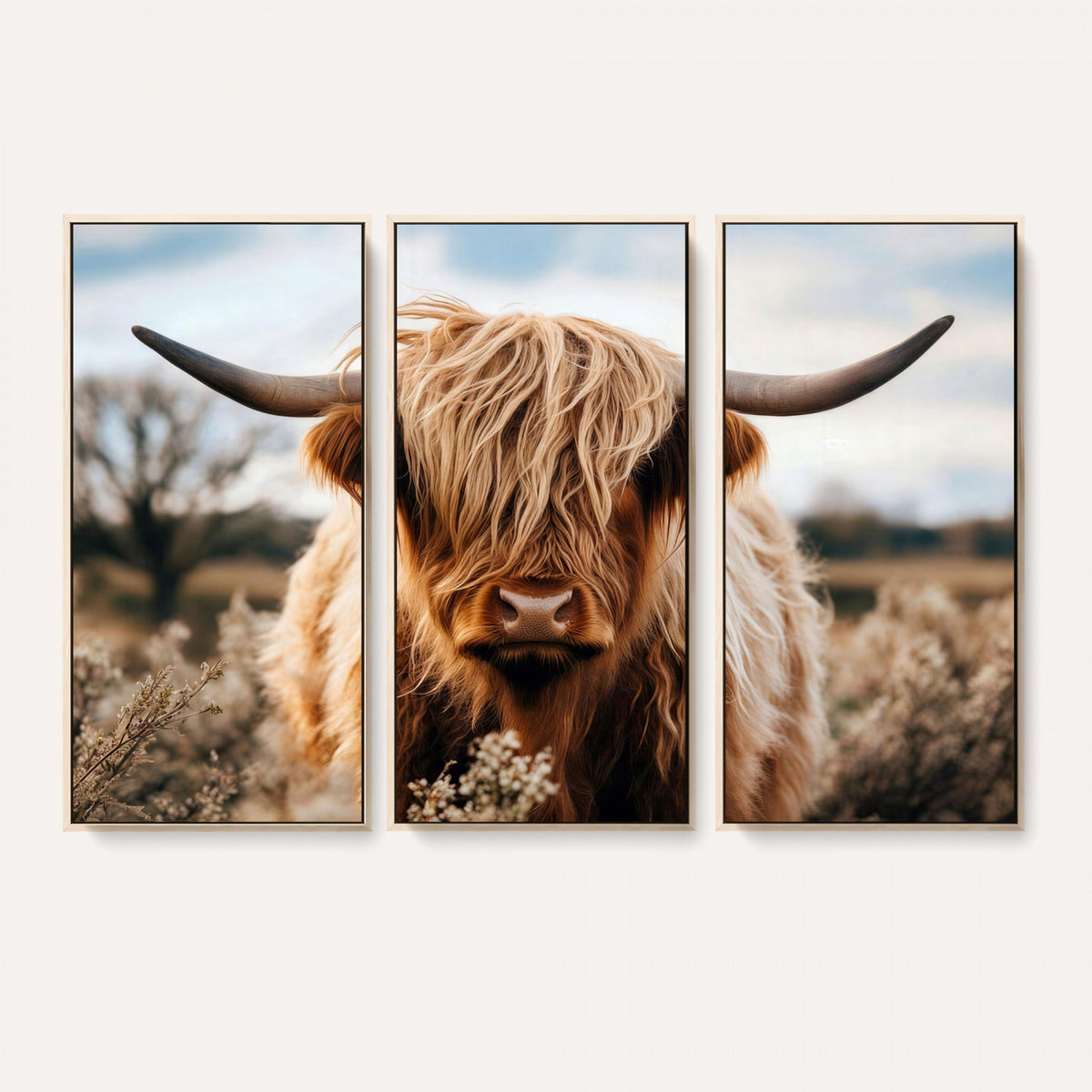 55903-_Poster-30x20 - Scottish Cow Longhorn Wall Art Canvas Print