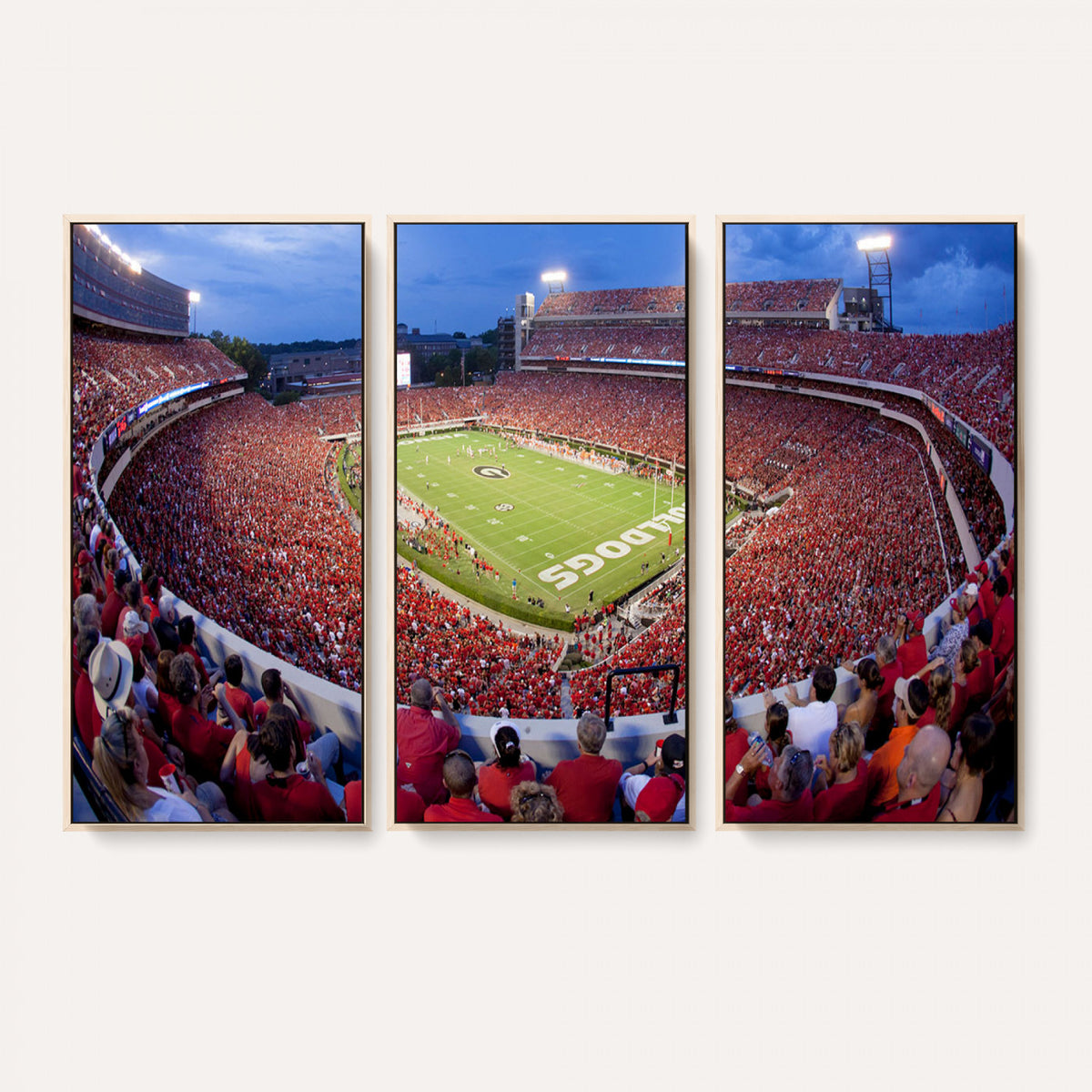 10244378-MGV-CV-36X24 - Dooley Stadium Wall Art, Sports Arena Canvas Print, Dooley Field, Home Bar Wall Decor