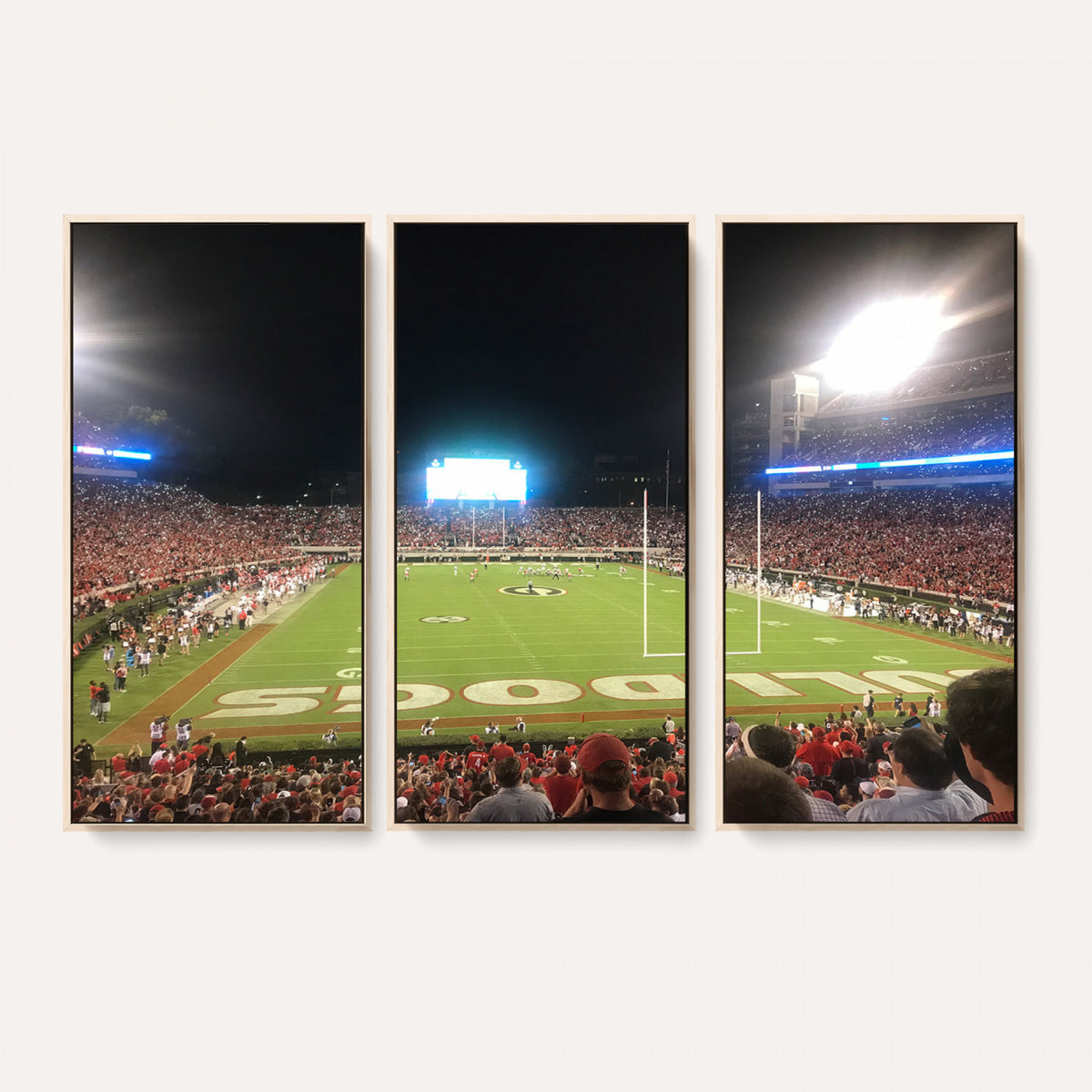 16230786-MGV-CV-36X24 - Dooley Stadium Wall Art, Sports Arena Panoramic Canvas Print, Modern Stadium Landscape Artwork for Home, Office