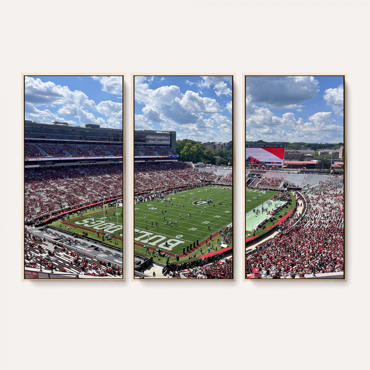 10665453-MGV-CV-36X24 - Georgia Bulldogs Stadium Wall Art Canvas Print, Sanford, Framed and Ready to Hang