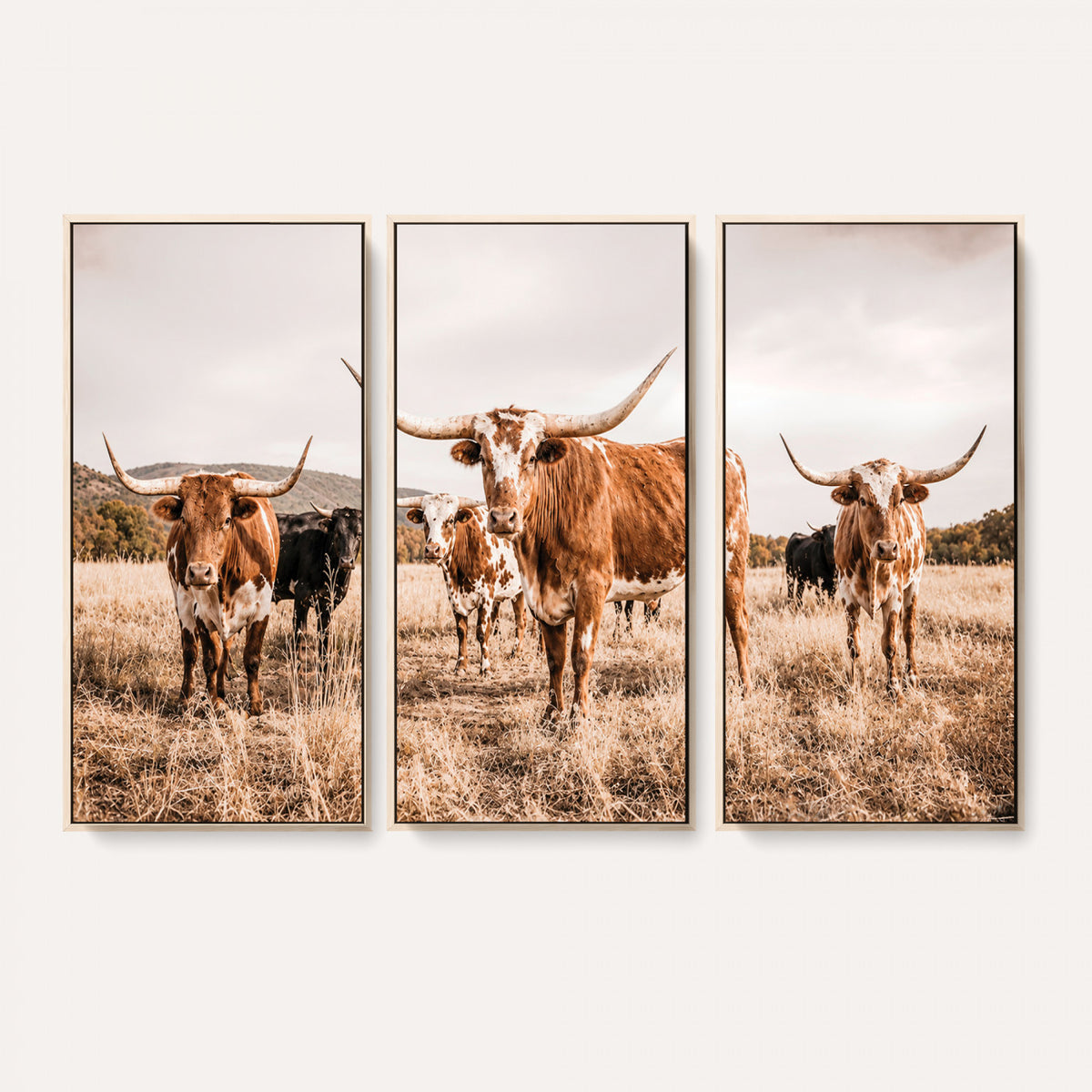 27539727-MGV-CV-36X24 - Texas Longhorn Cattle Wall Art Canvas Print, Sepia Western Decor