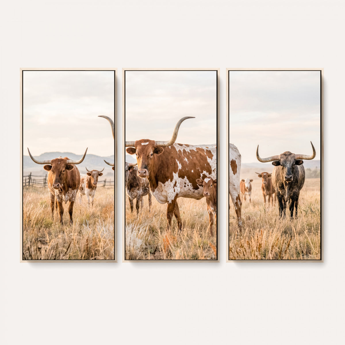62336425AC-MGV-CV-36X24 - Texas Longhorn Canvas Wall Art, Rustic Farm Animal Photography Print, Farmhouse Country Decor, Western Ranch Art