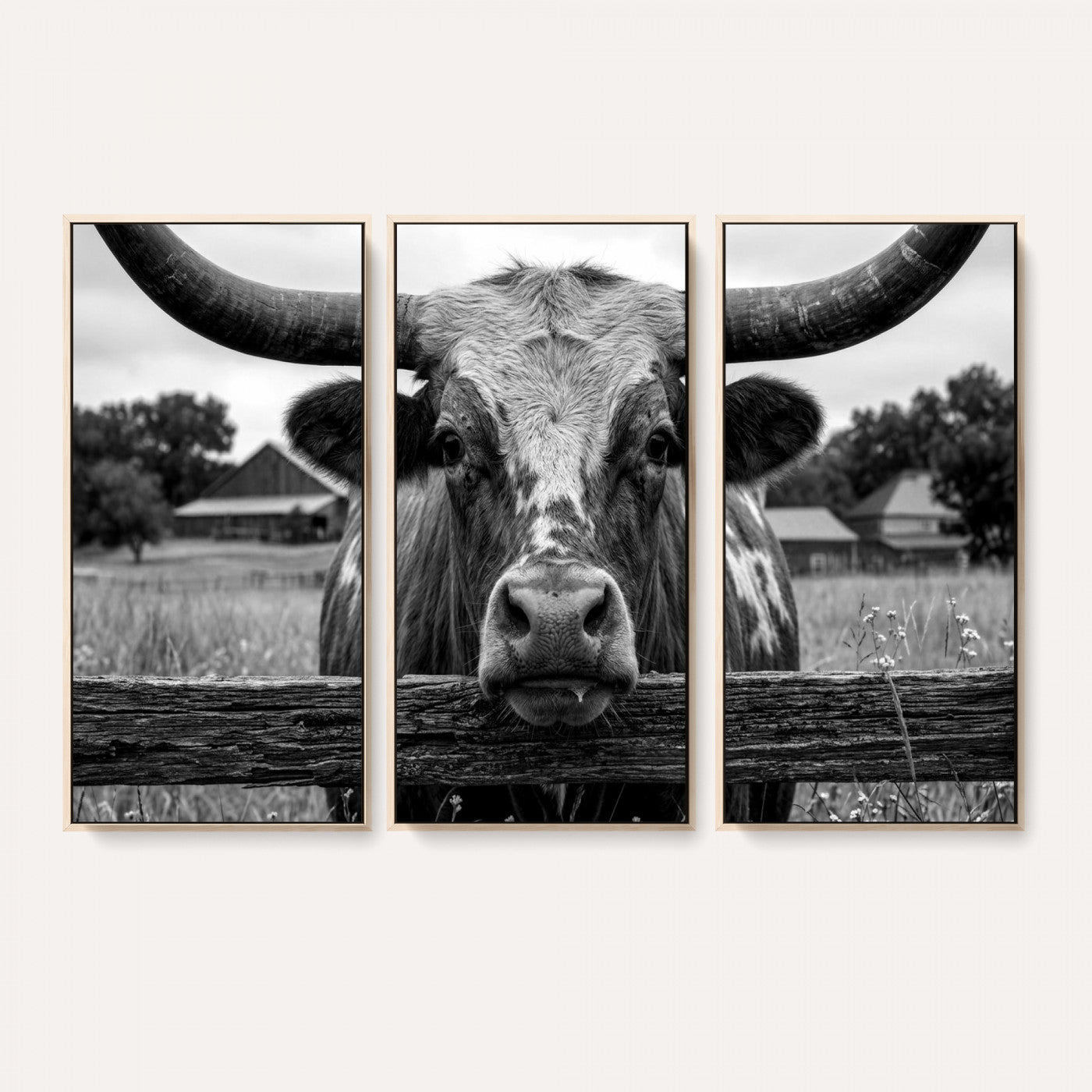 59378683B-MGV-CV-36X24 - Black White Texas Longhorn Bull Canvas Wall Art, Western Ranch Cattle Photography Print, Rustic Farmhouse Cowboy Decor Artwork