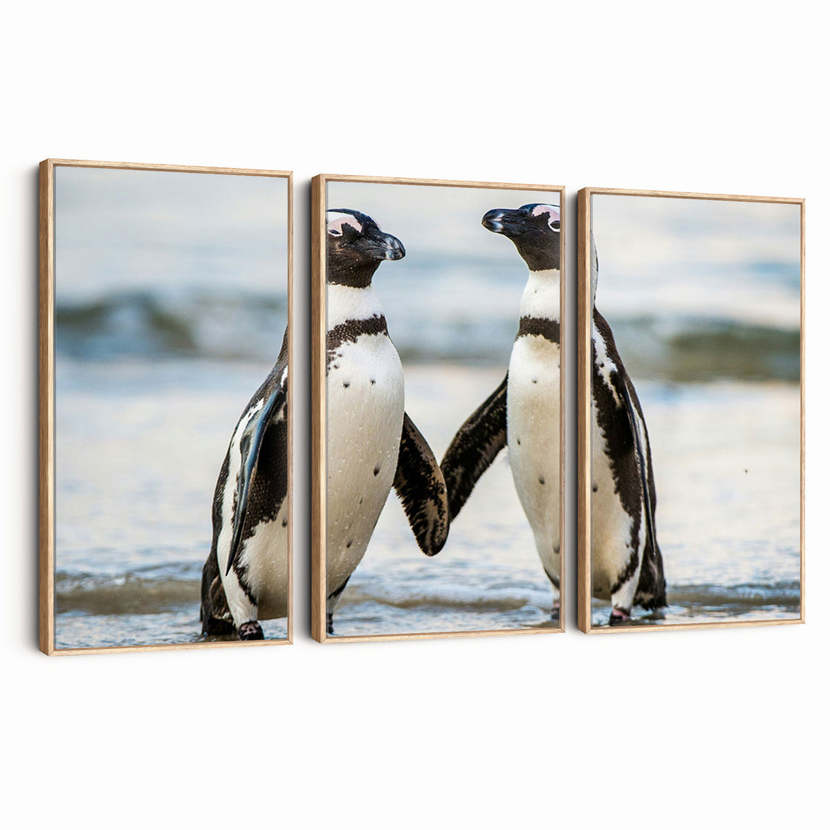 64870405-MGV-TP-30X20 - African Penguins Boulders Beach Wall Art Canvas Print, Cute Penguin Couple Photo Print