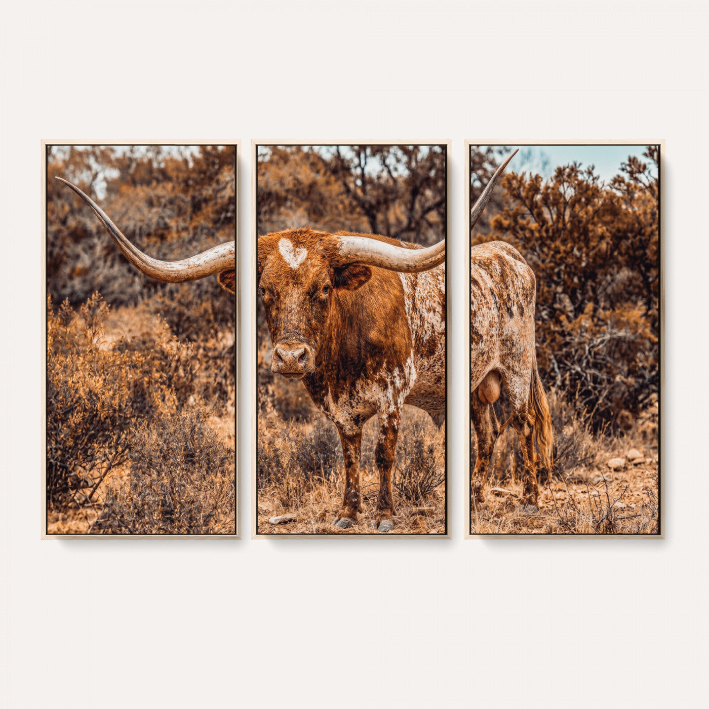 62076449-MGV-CV-36X24 - Texas Cow Bull Longhorn Print for Western Wall Art Decor for Farmhouse