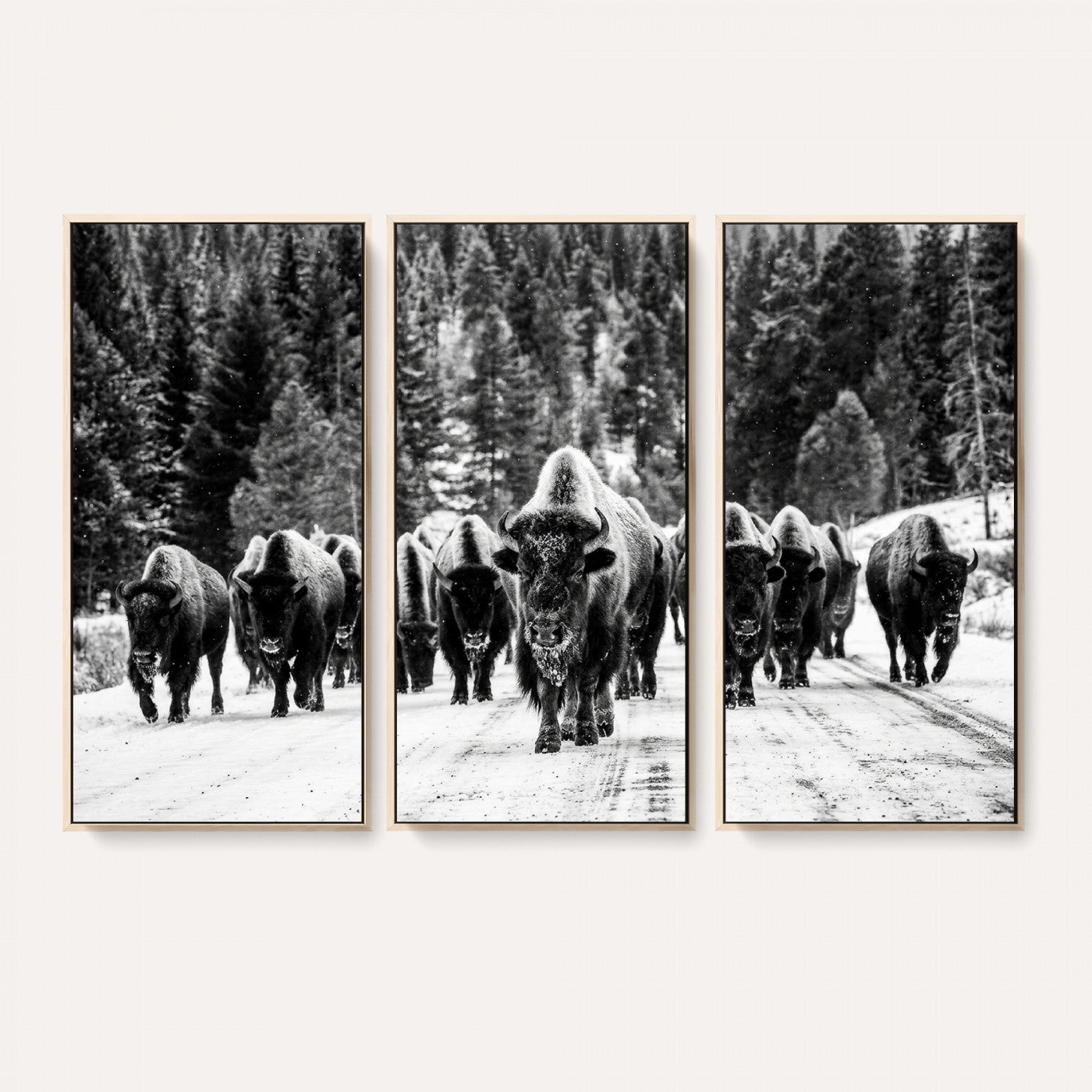 79337077-MGV-CV-36X24 - Black and White Bison Canvas Art, American Buffalo Print, Winter Wildlife Photography, Rustic Forest Wall Decor, Large Statement Nature Gift