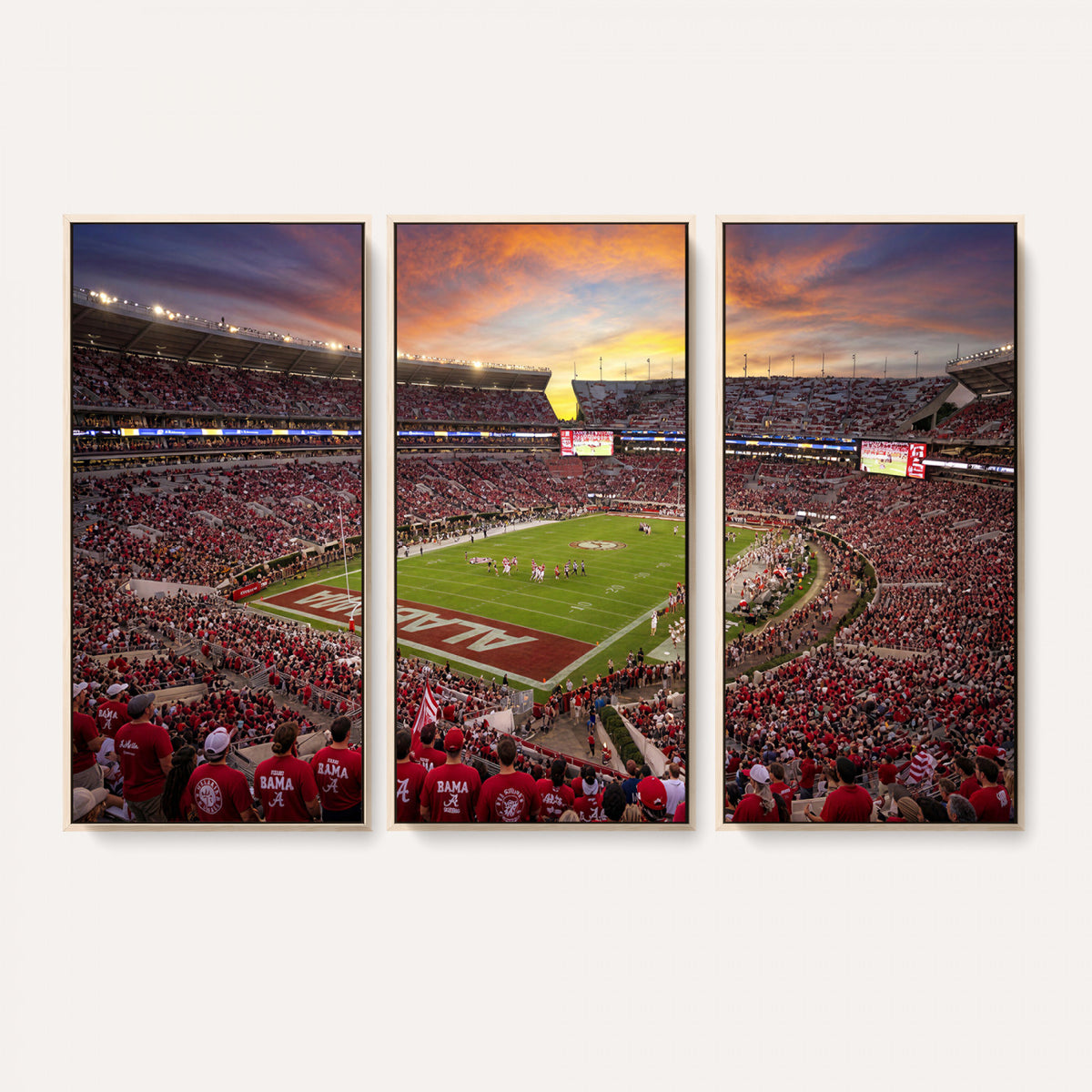 41995919-MGV-CV-36X24 - Stadium Wall Art Canvas Print