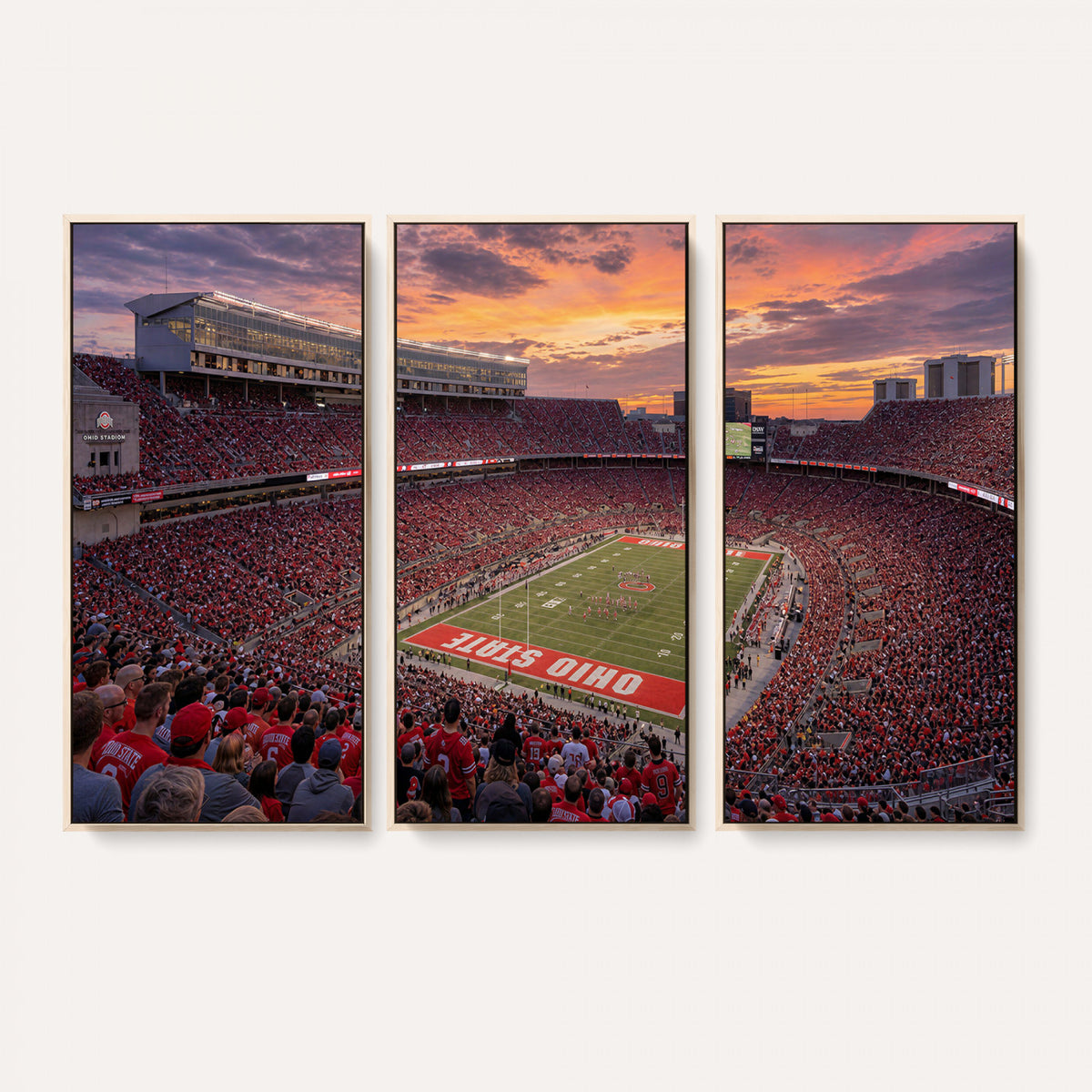 95137596-MGV-CV-36X24 - Stadium Wall Art Canvas Print