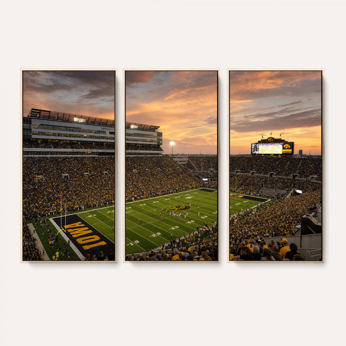 84993181-MGV-CV-36X24 - Stadium Wall Art Canvas Print