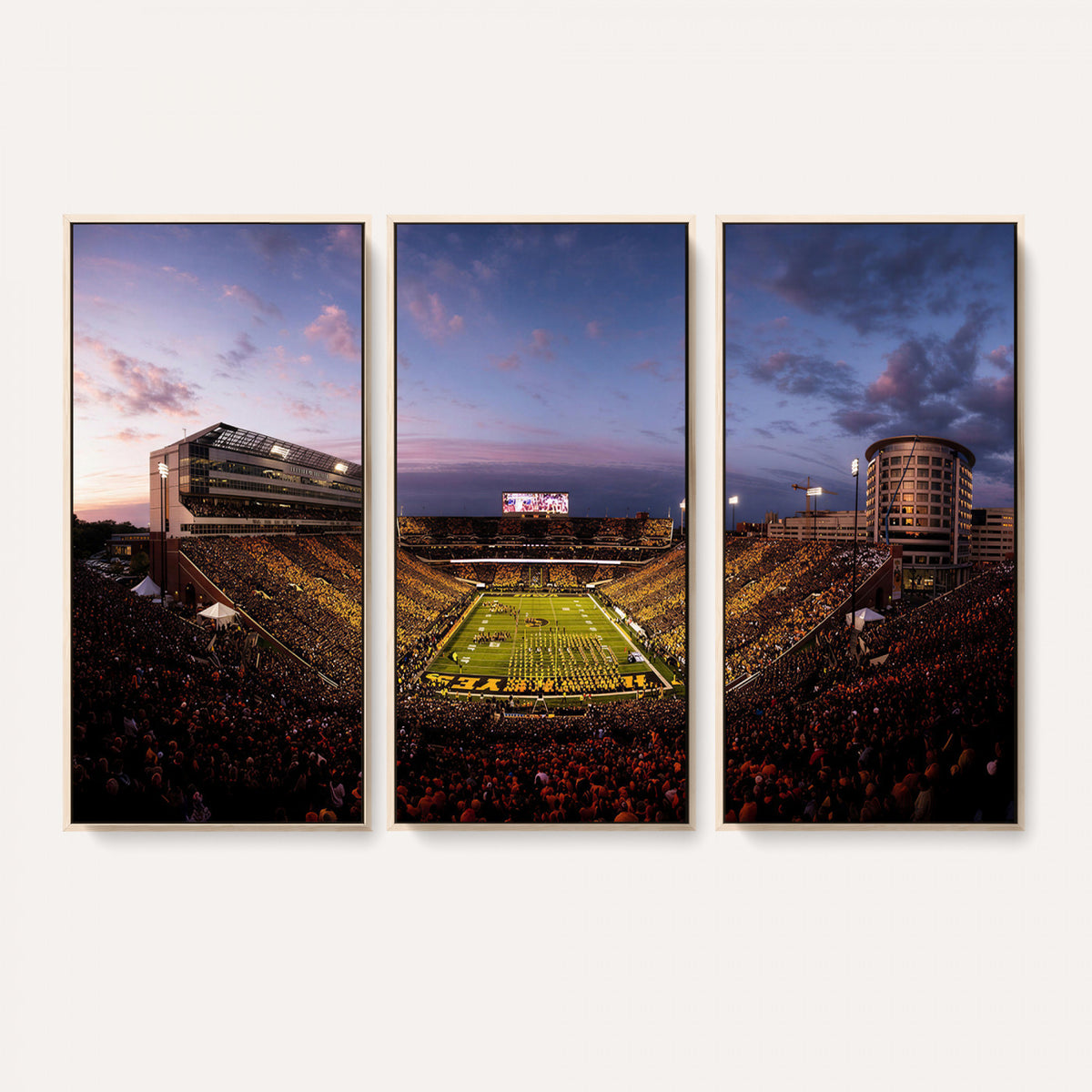 49683861-MGV-CV-36X24 - Stadium Wall Art Canvas Print