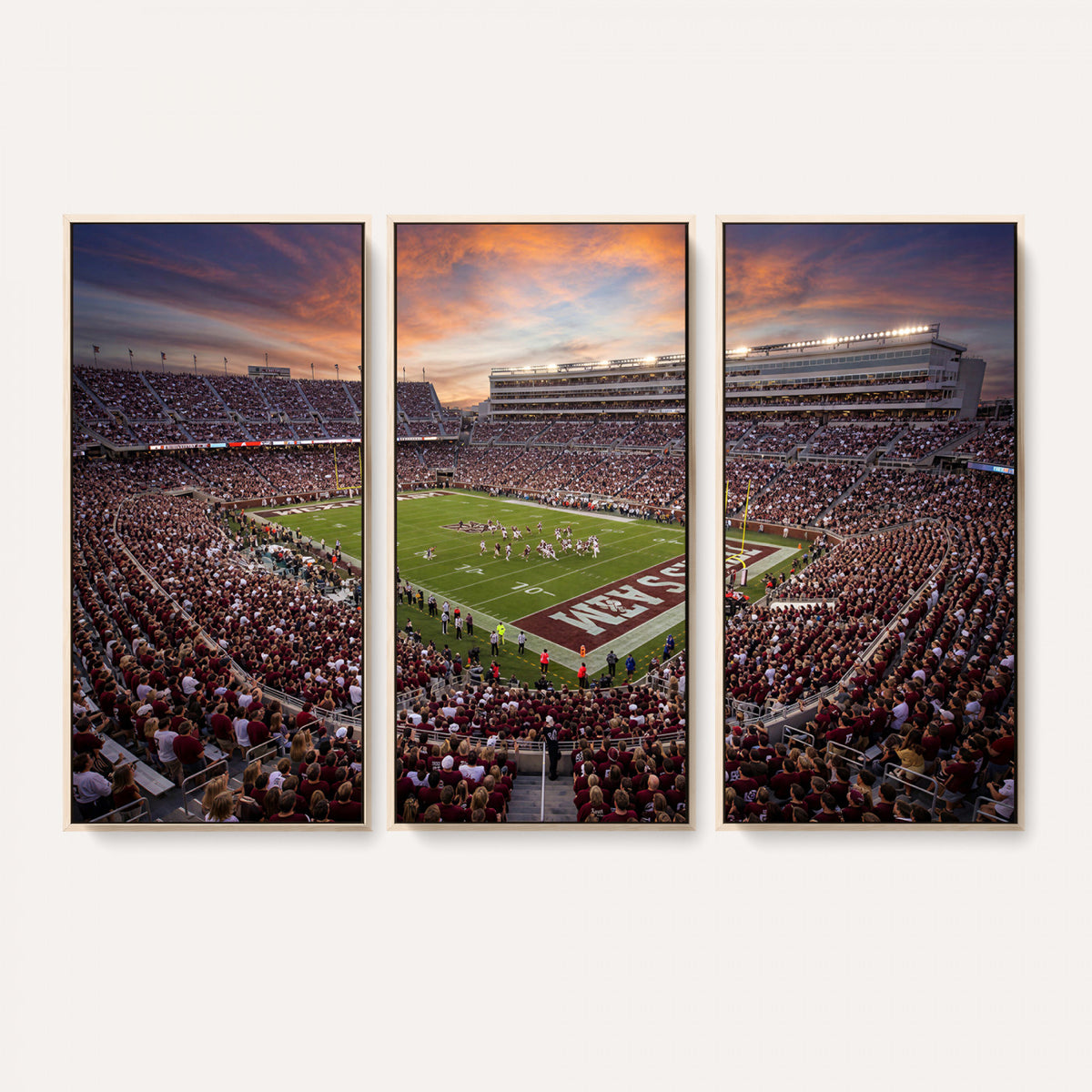 66624578-MGV-CV-36X24 - Stadium Wall Art Canvas Print