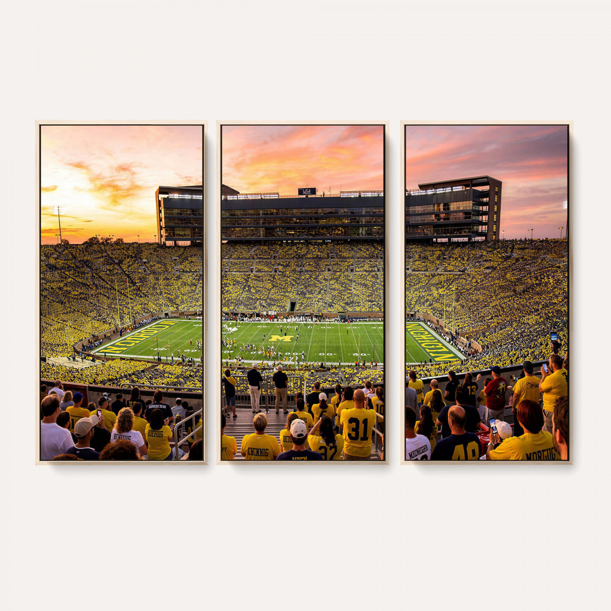 27265223-MGV-CV-36X24 - Stadium Wall Art Canvas Print
