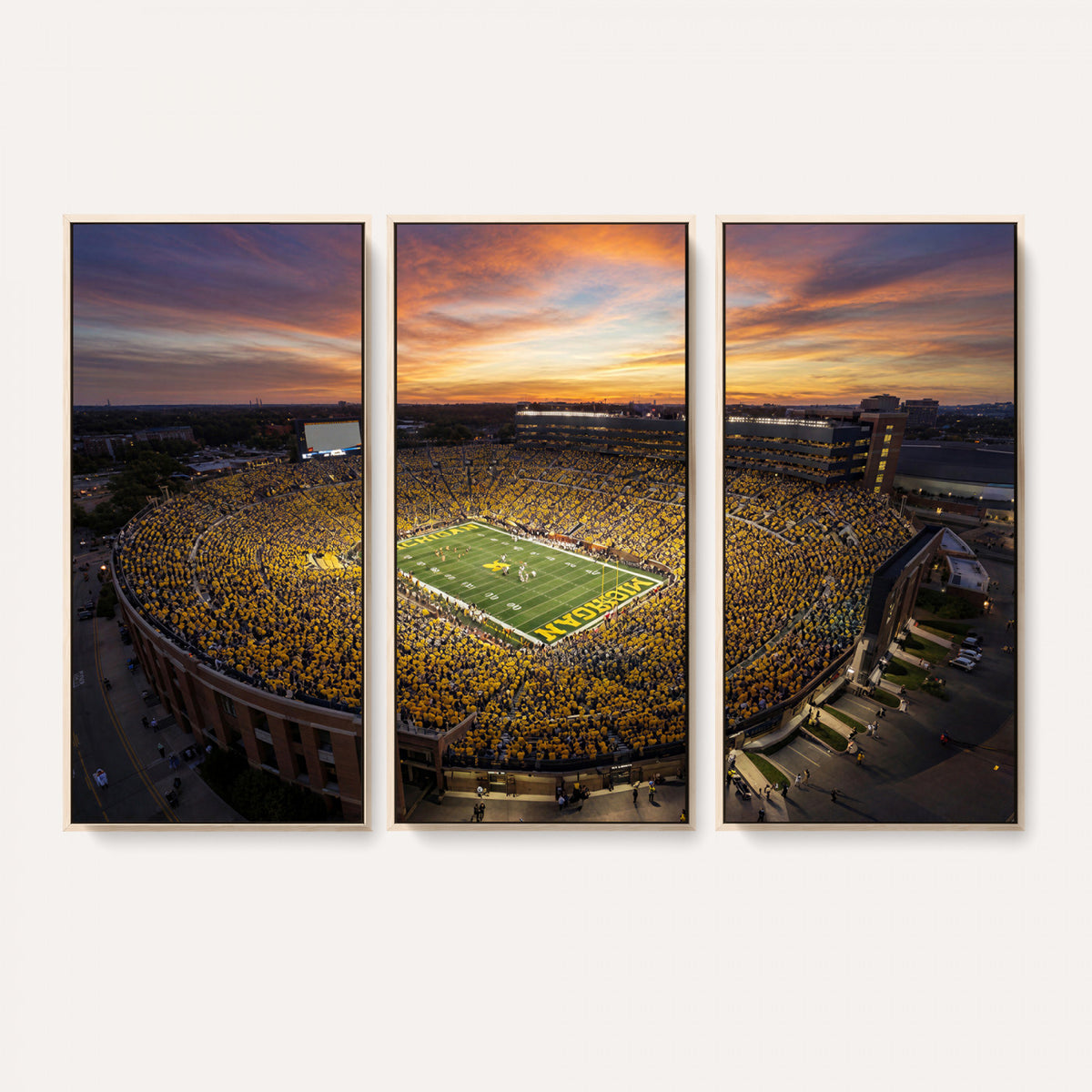 64902586-MGV-CV-36X24 - Stadium Wall Art Canvas Print