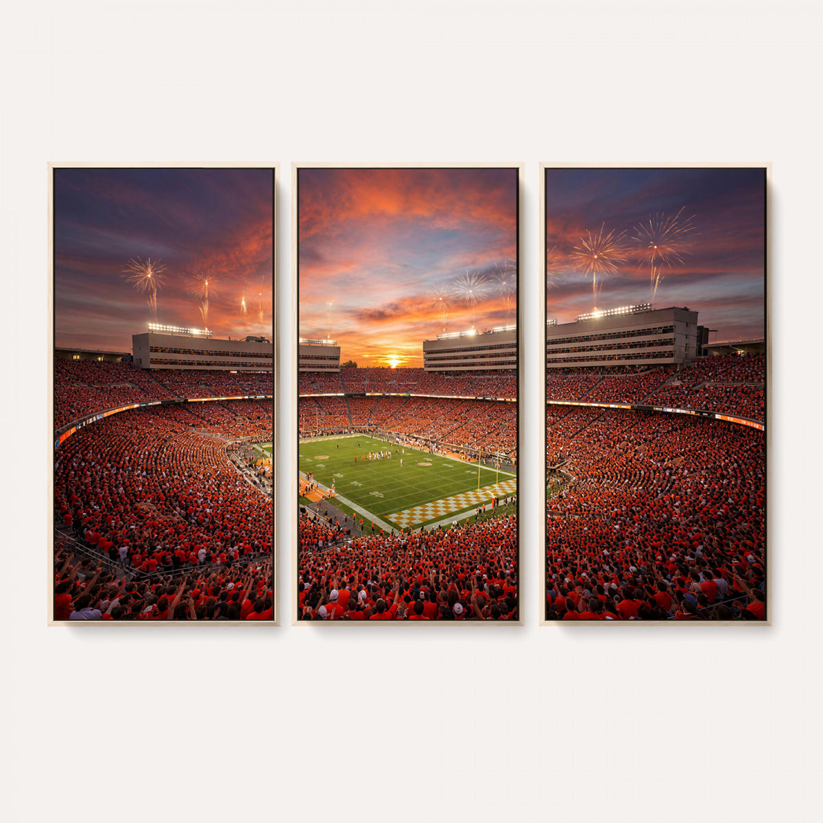 66964685-MGV-CV-36X24 - Stadium Wall Art Canvas Print