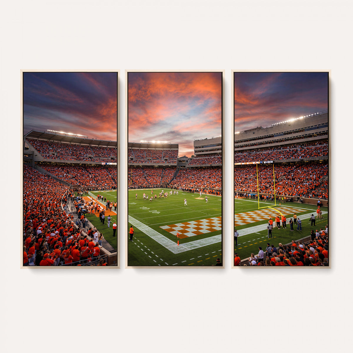 67648335-MGV-CV-36X24 - Stadium Wall Art Canvas Print