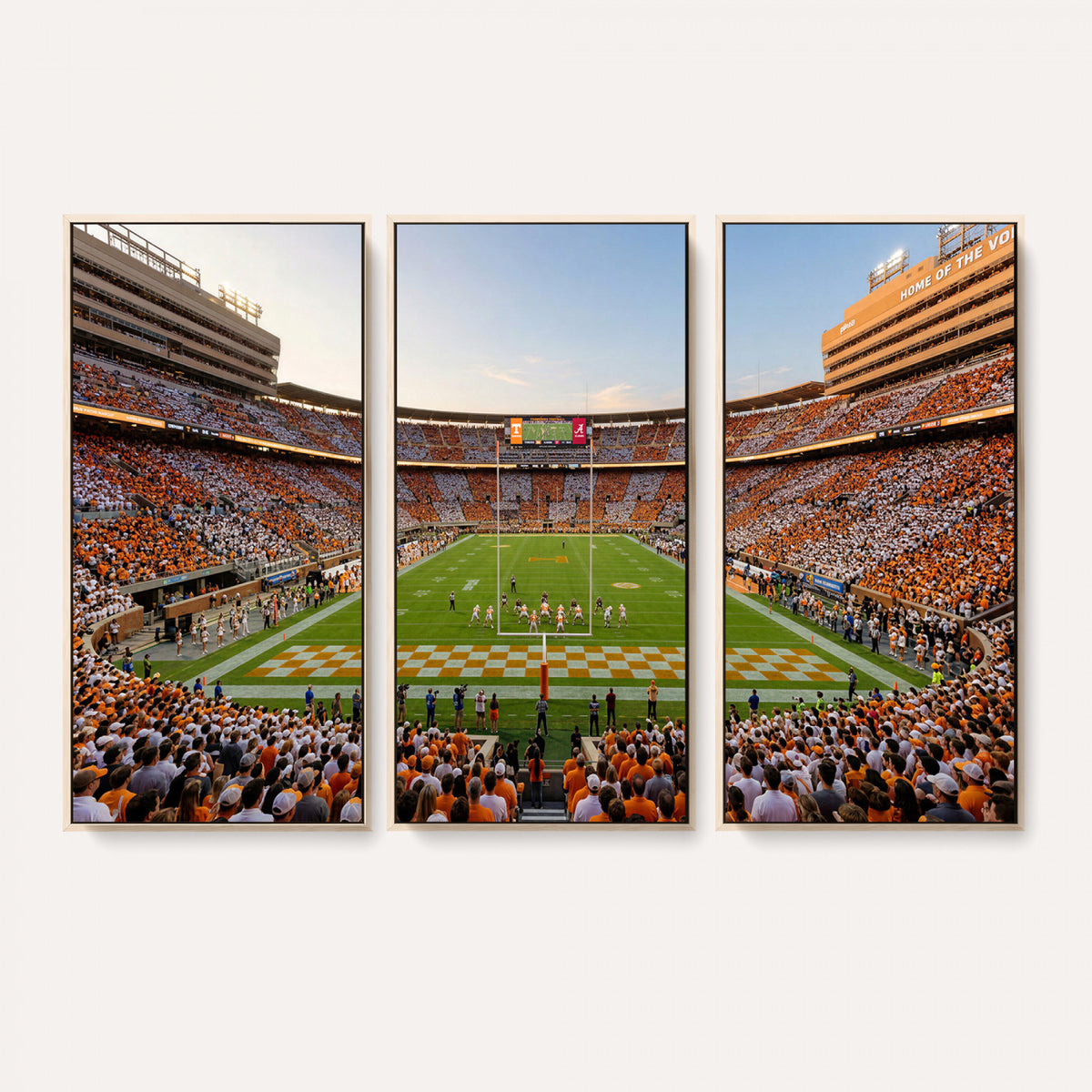 74509135-MGV-CV-36X24 - Stadium Wall Art Canvas Print