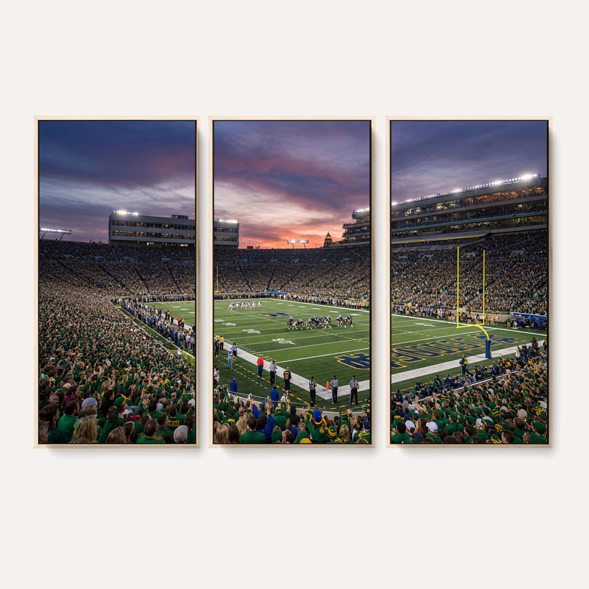 34836892-MGV-CV-36X24 - Stadium Wall Art Canvas Print