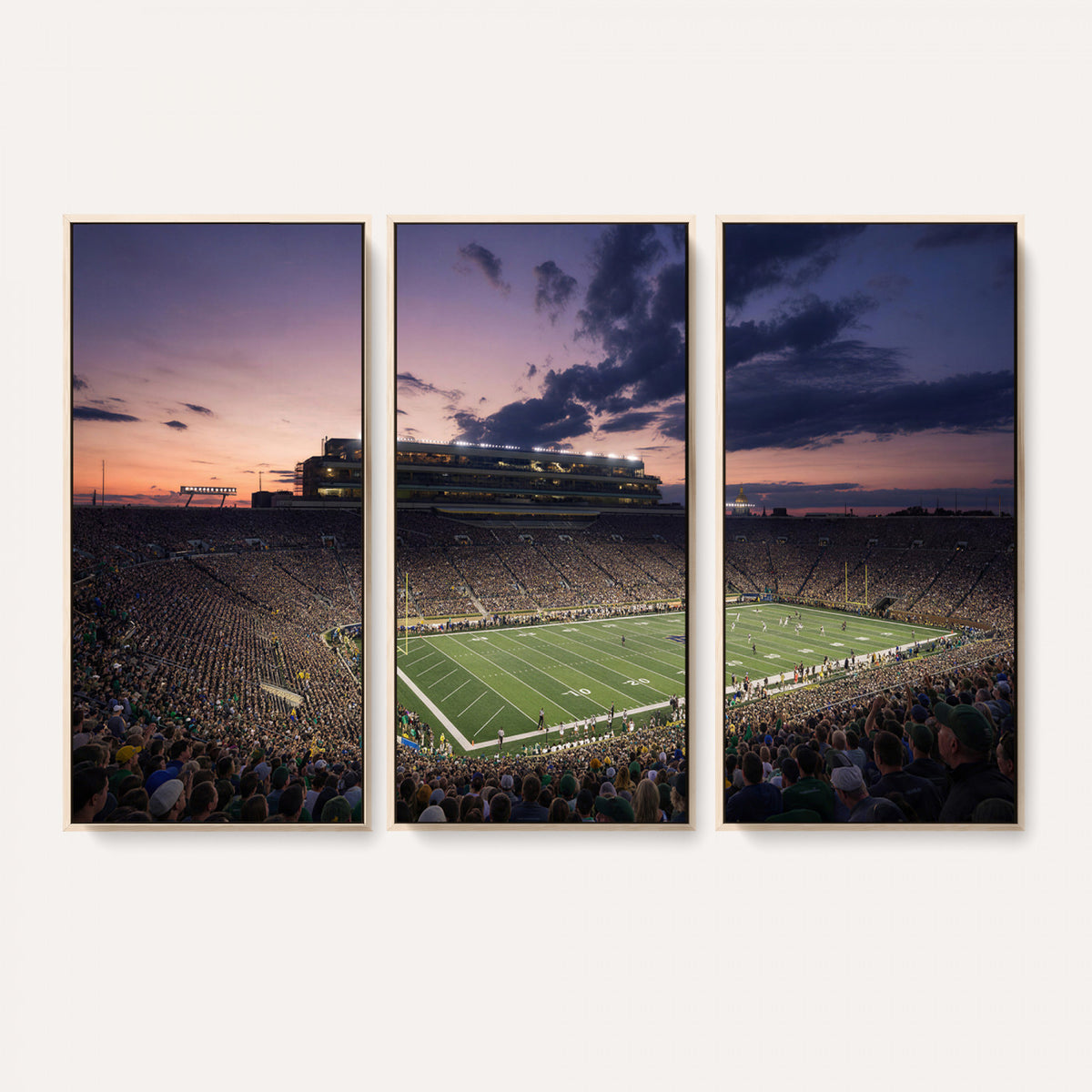 48837941-MGV-CV-36X24 - Stadium Wall Art Canvas Print