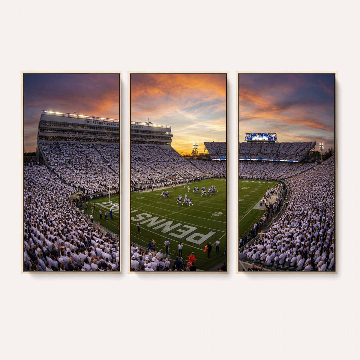 37485833-MGV-CV-36X24 - Stadium Wall Art Canvas Print