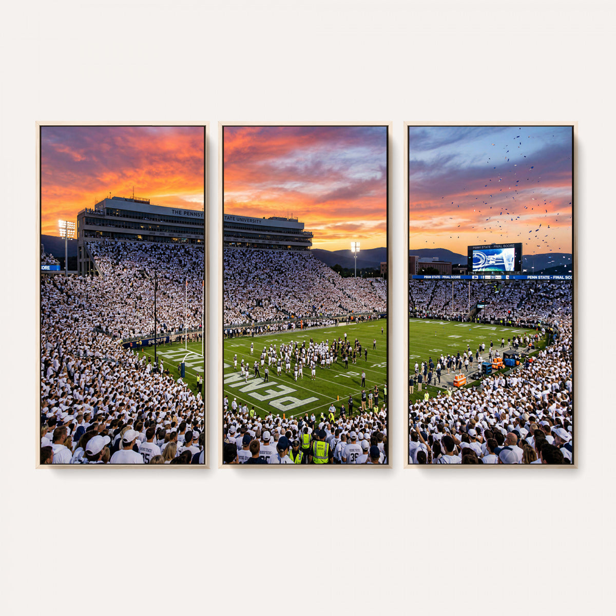 73603863-MGV-CV-36X24 - Stadium Wall Art Canvas Print