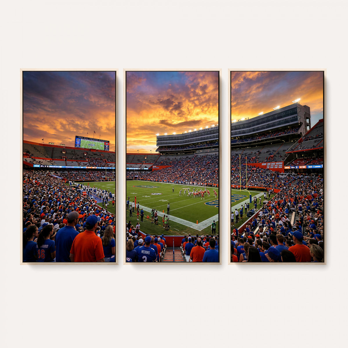 23829865-MGV-CV-36X24 - Stadium Wall Art Canvas Print