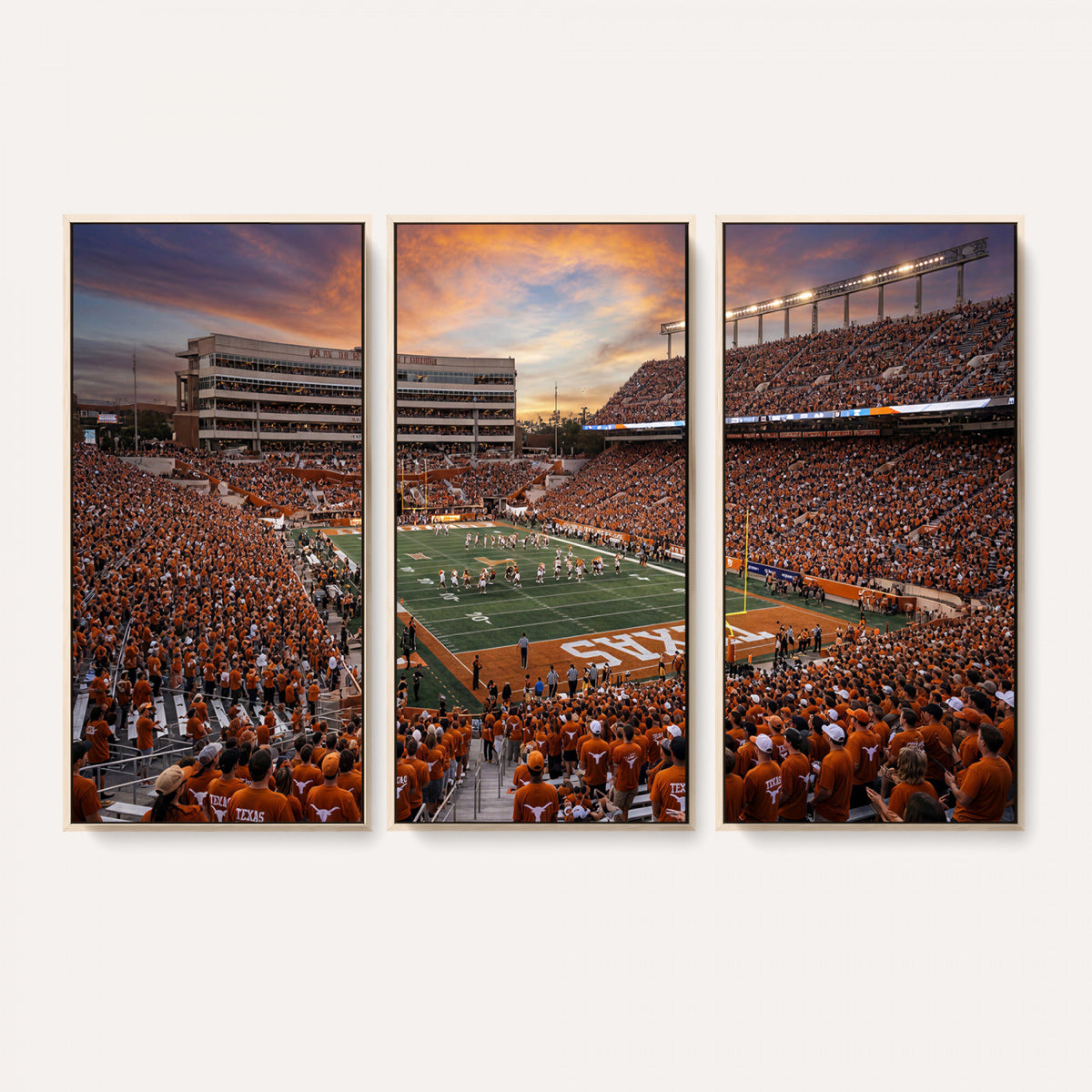 23560699-MGV-CV-36X24 - Stadium Wall Art Canvas Print