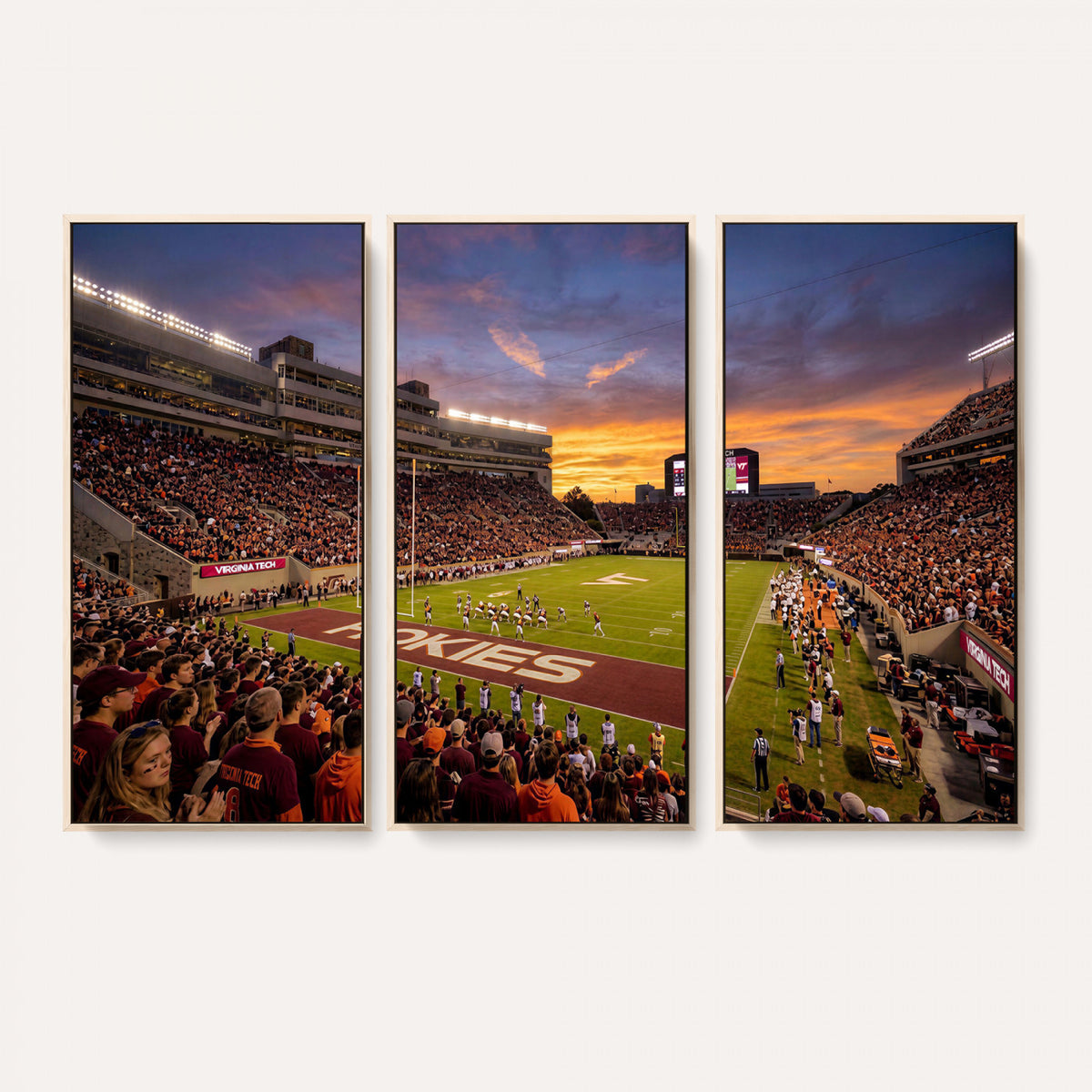 87141841-MGV-CV-36X24 - Stadium Wall Art Canvas Print