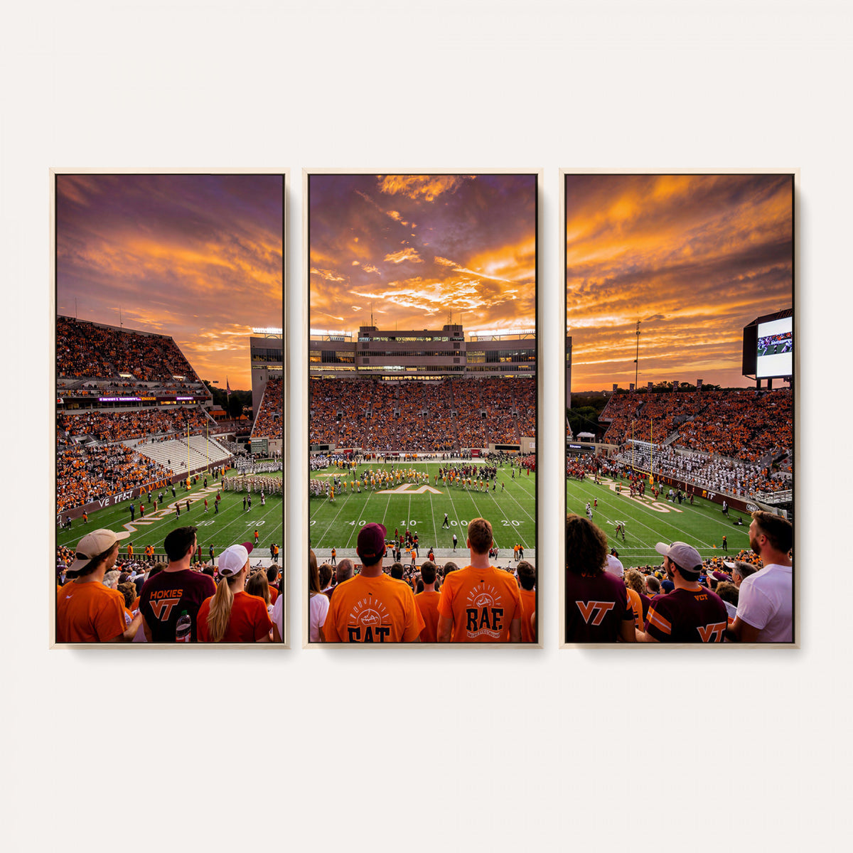 25873880-MGV-CV-36X24 - Stadium Wall Art Canvas Print