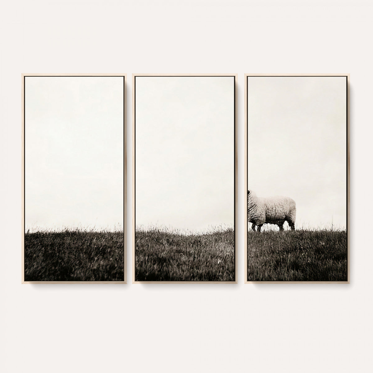 72749448-MGV-TP-30X20 - Minimalist Sepia Sheep Canvas Wall Art - Rustic Farmhouse Country Landscape Print