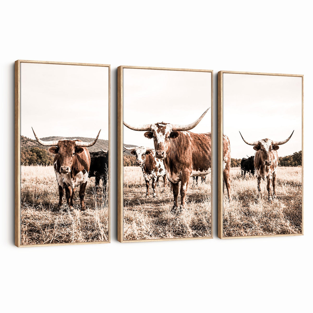 25234808-MGV-CV-48X32-3P - Texas Longhorn Cattle Canvas Wall Art, Western Ranch Home Decor