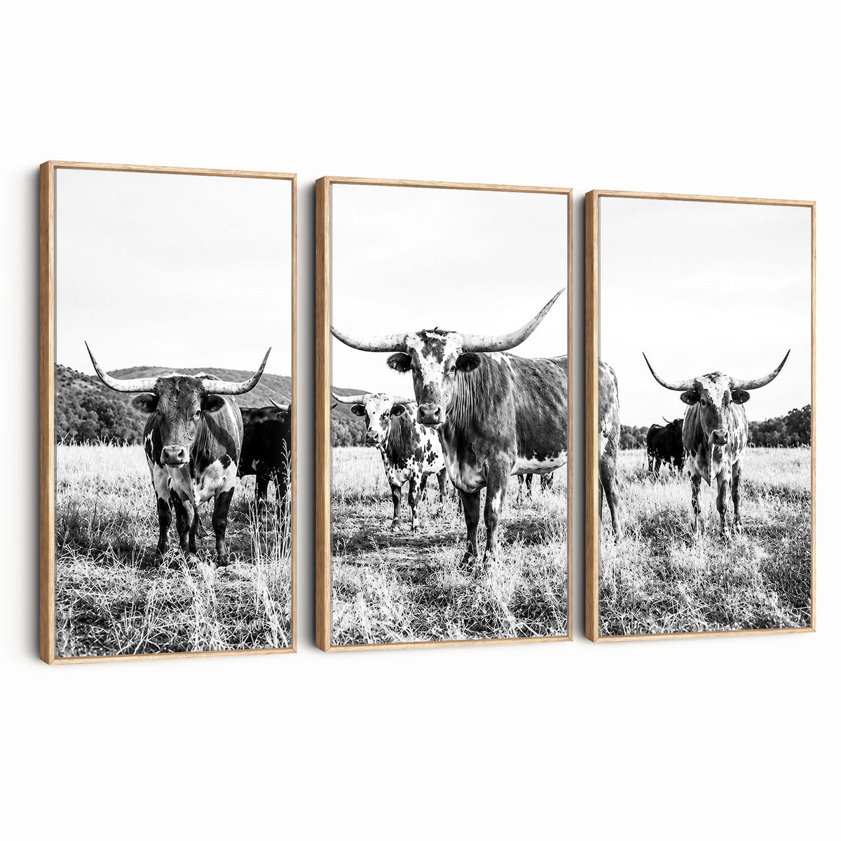 73228277-MGV-CV-48X32-3P - Black and White Longhorn Cattle Canvas Print, Western Ranch Wall Decor