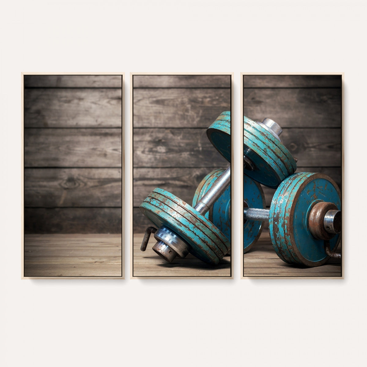 39364-MGV-CV-36X24 - Dumbbell and Sport Wall Art Canvas Print