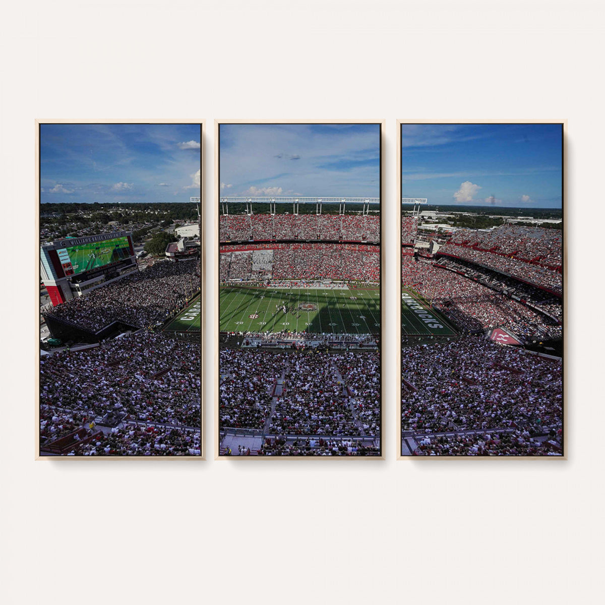 83382-MGV-CV-36X24 - South Carolina Gamecocks Football Team Print, Columbia Williams-Brice Stadium Wall Art