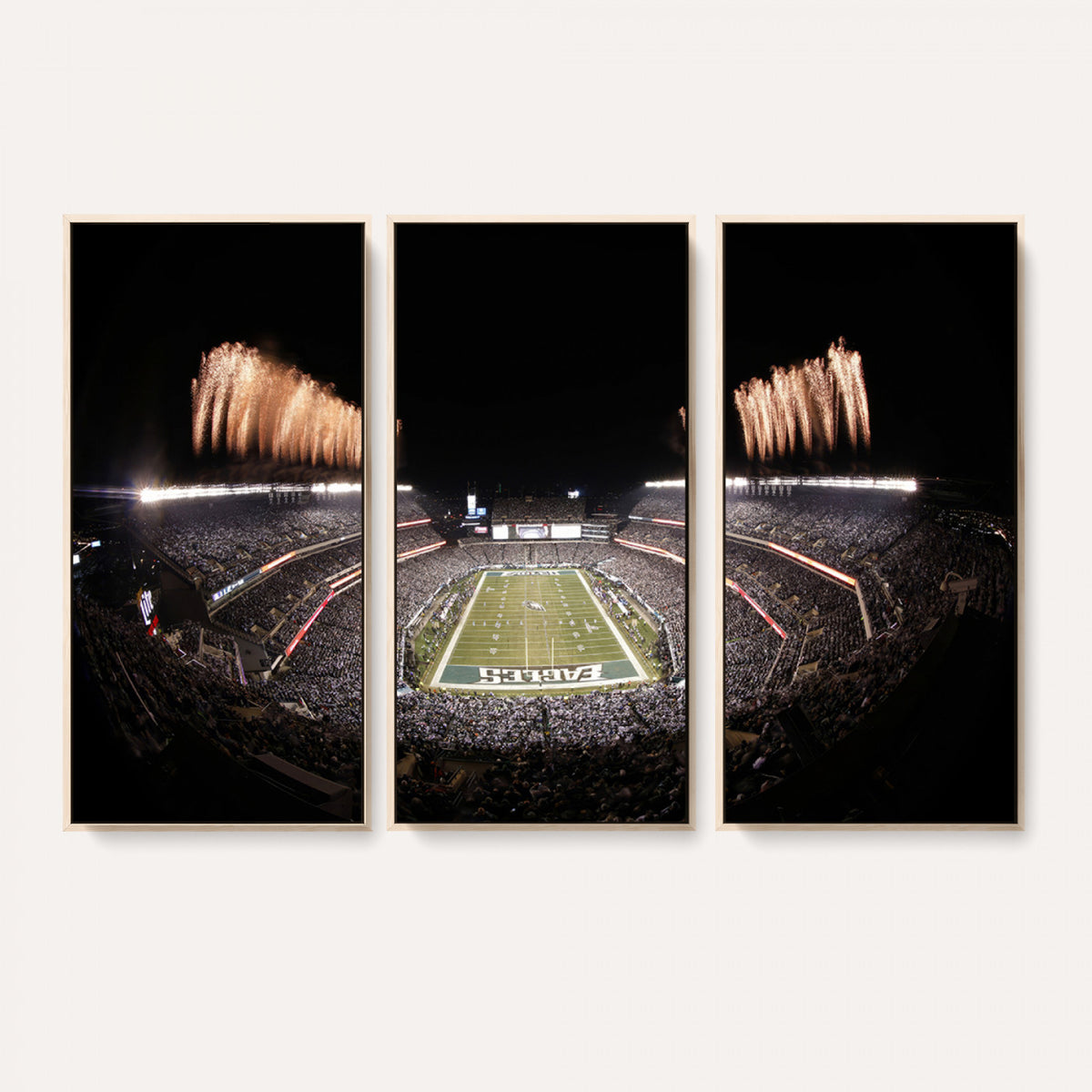 48893-MGV-CV-36X24 - Eagles Field Stadium Wall Art, Lincoln Financial Field
