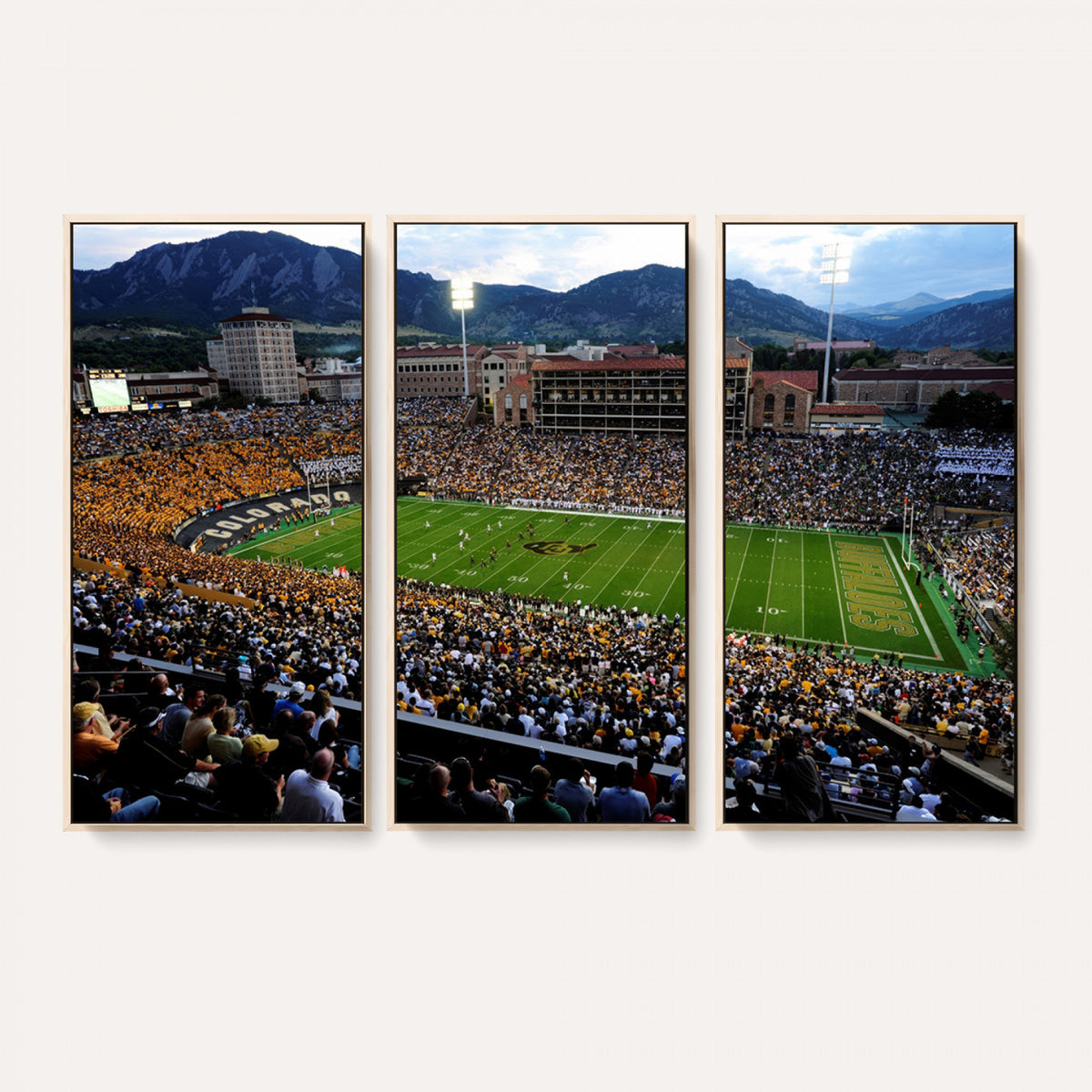 60552-MGV-CV-36X24 - Folsom Field, University of Colorado Buffaloes Football