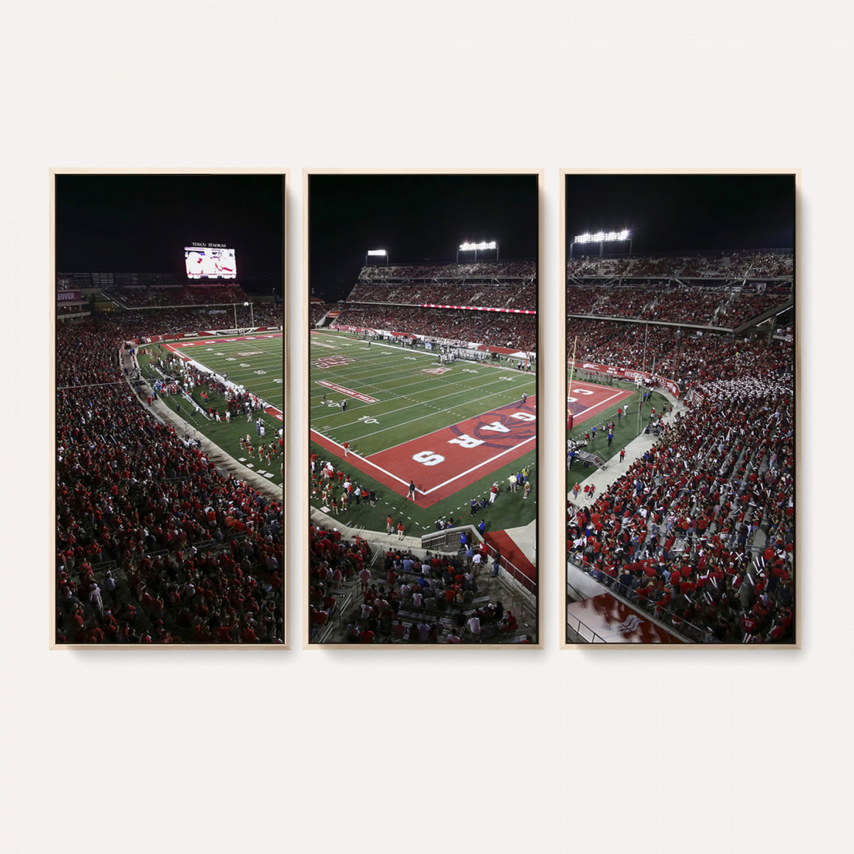 94207-MGV-CV-36X24 - Houston Cougars Football Team Print - Houston TDECU Stadium Wall Art Canvas Print