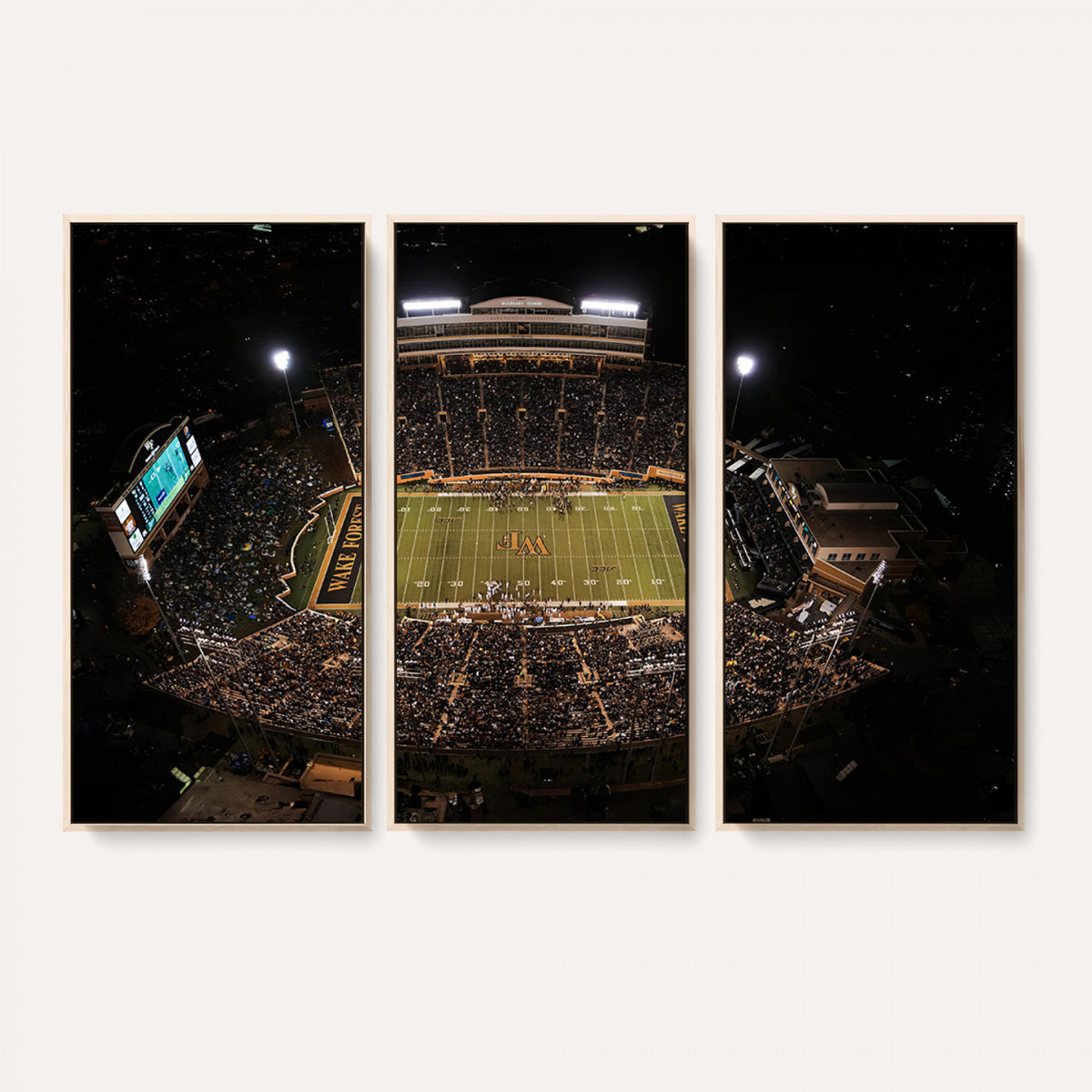 20605-MGV-CV-36X24 - Wake Forest University Demon Deacons Canvas Print, Football Team Wall Art