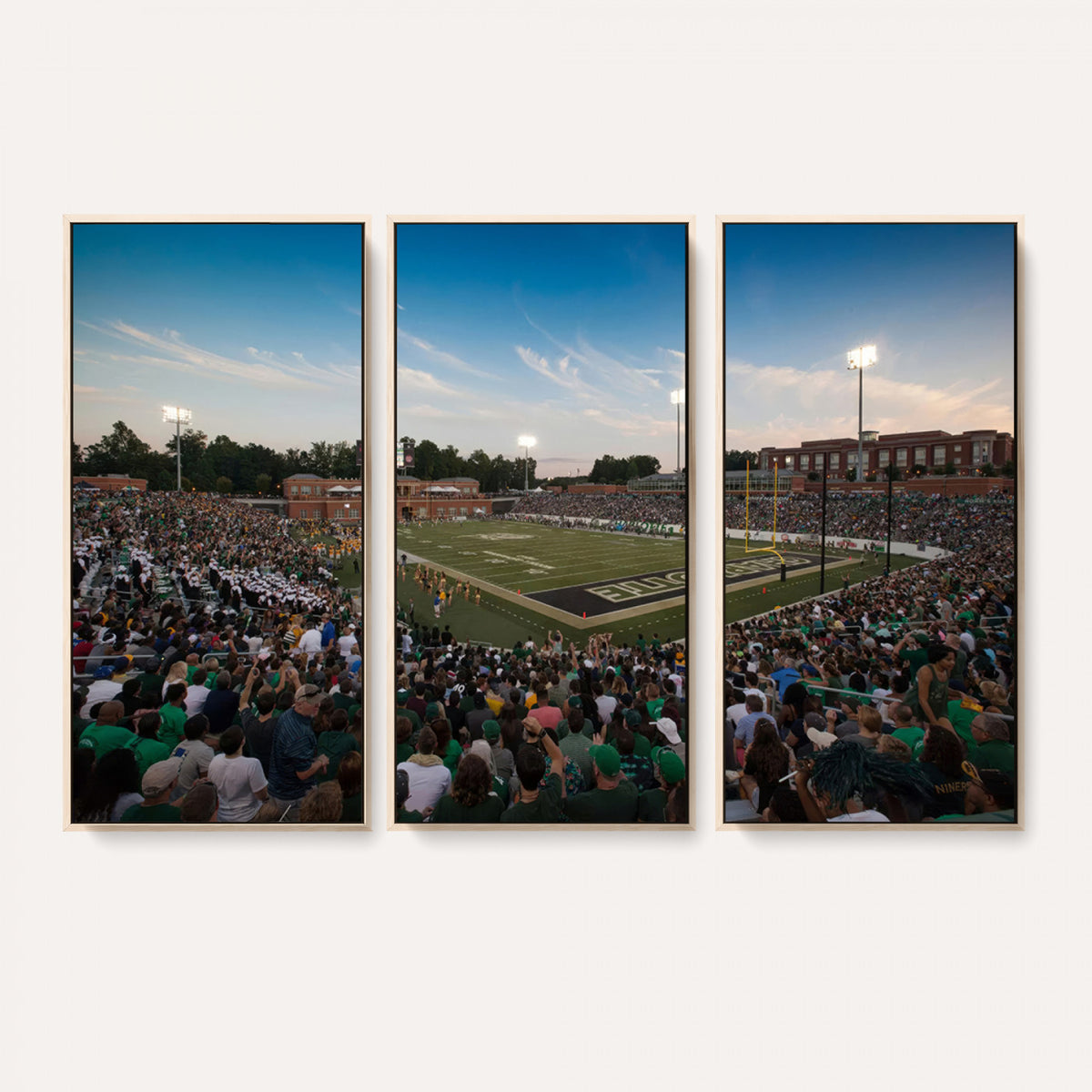 12290-MGV-CV-36X24 - University of Charlotte 49ers Football Team Print - Charlotte Jerry Richardson Stadium Wall Art