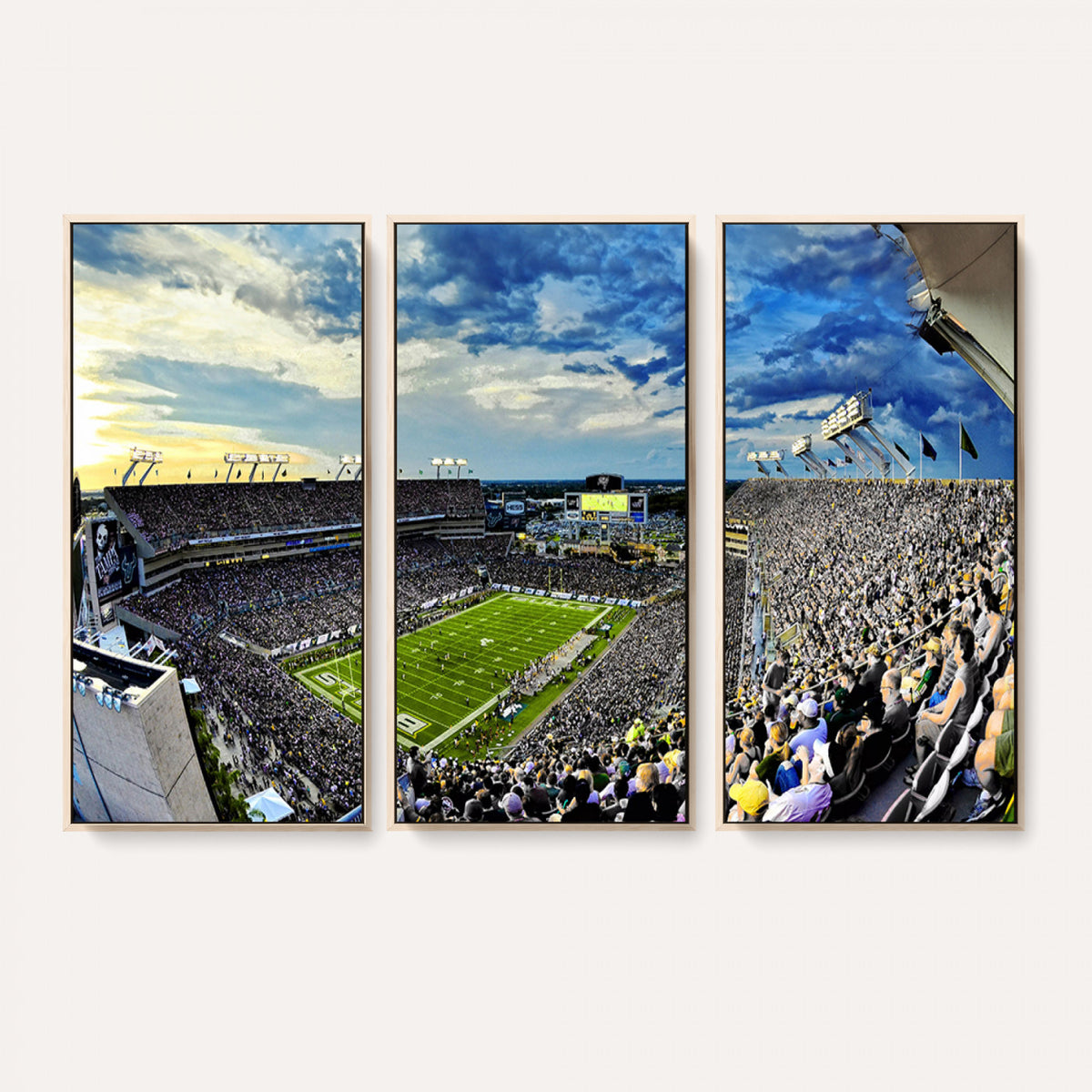 23788-MGV-CV-36X24 - Framed USF Bulls Football Team Print - Tampa Raymond James Stadium Wall Art Canvas Print
