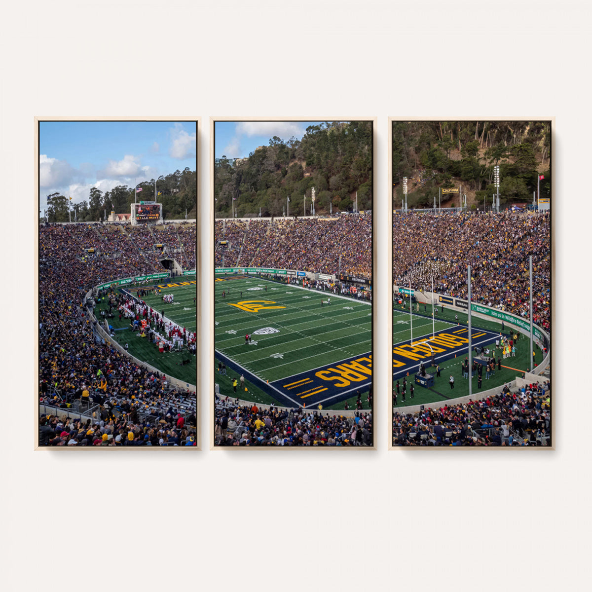 38054-MGV-CV-36X24 - University of California Golden Bears Football Team Print - Berkeley California Memorial Stadium Art