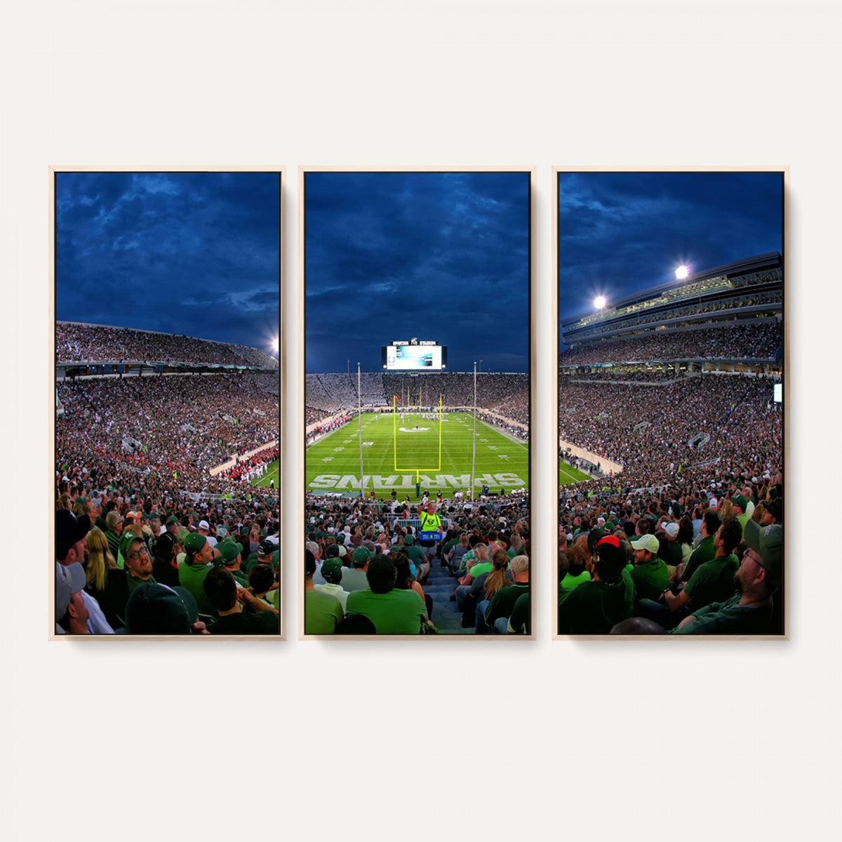 35248-PAN-FL-20X10 - Michigan State Spartans Football Team Print - East Lansing Spartan Stadium Wall Art Canvas Print
