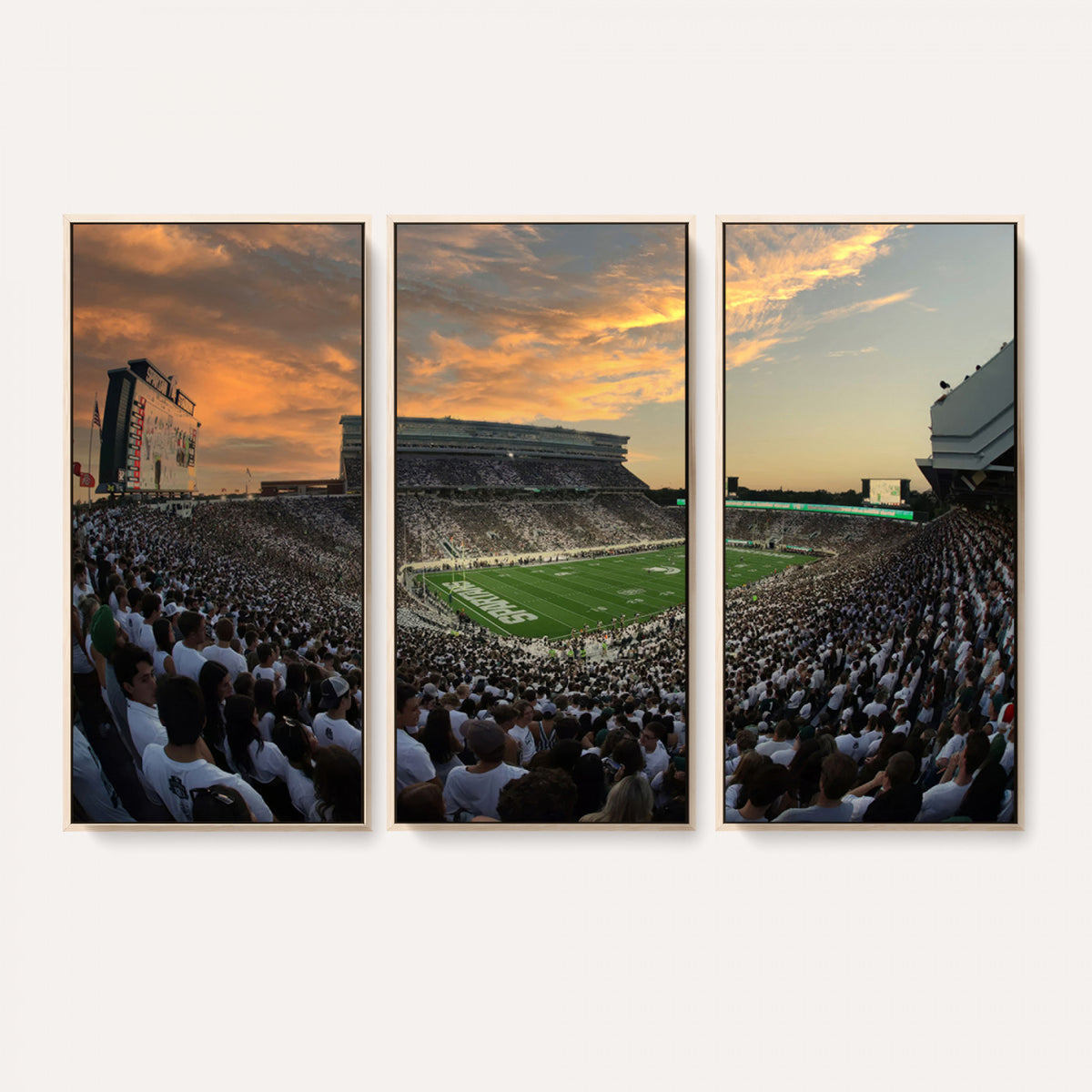 99155-PAN-FL-20X10 - Michigan State Spartans Football Team Print - East Lansing Spartan Stadium Wall Art Canvas Print