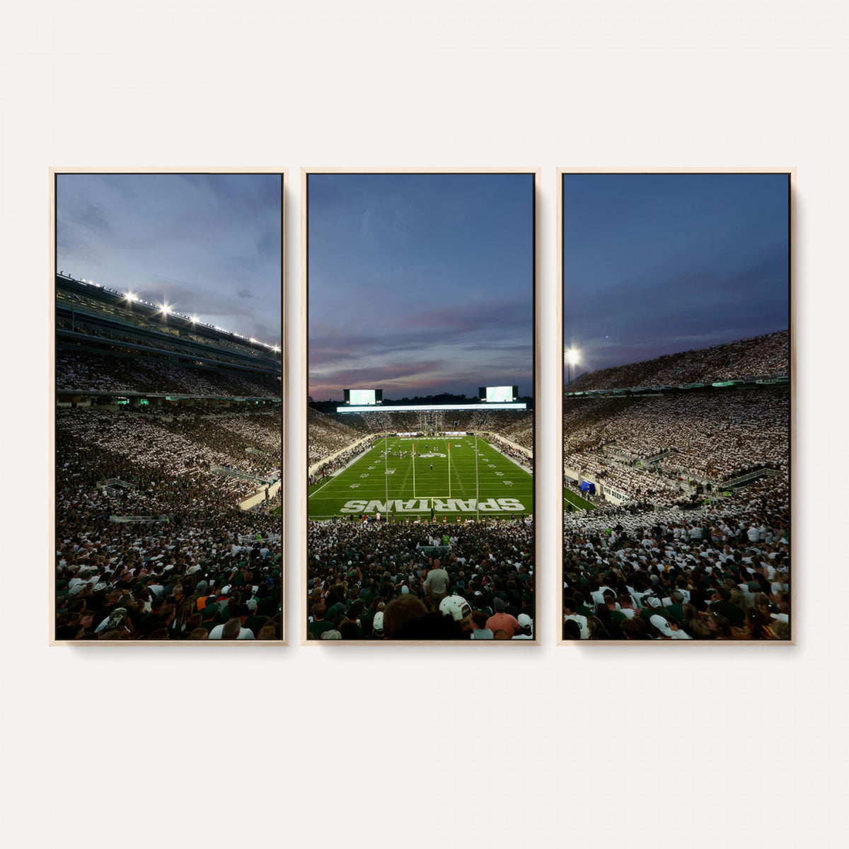 90831-PAN-FL-20X10 - Michigan State Spartans Football Team Print - East Lansing Spartan Stadium Canvas Print