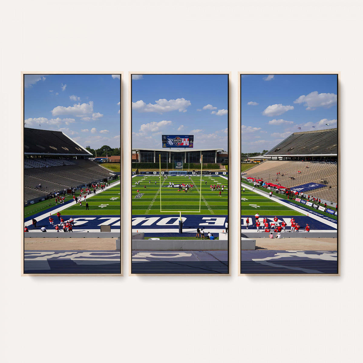 92248-MGV-CV-36X24 - Rice University Owls Football Team Print, Houston Rice Stadium