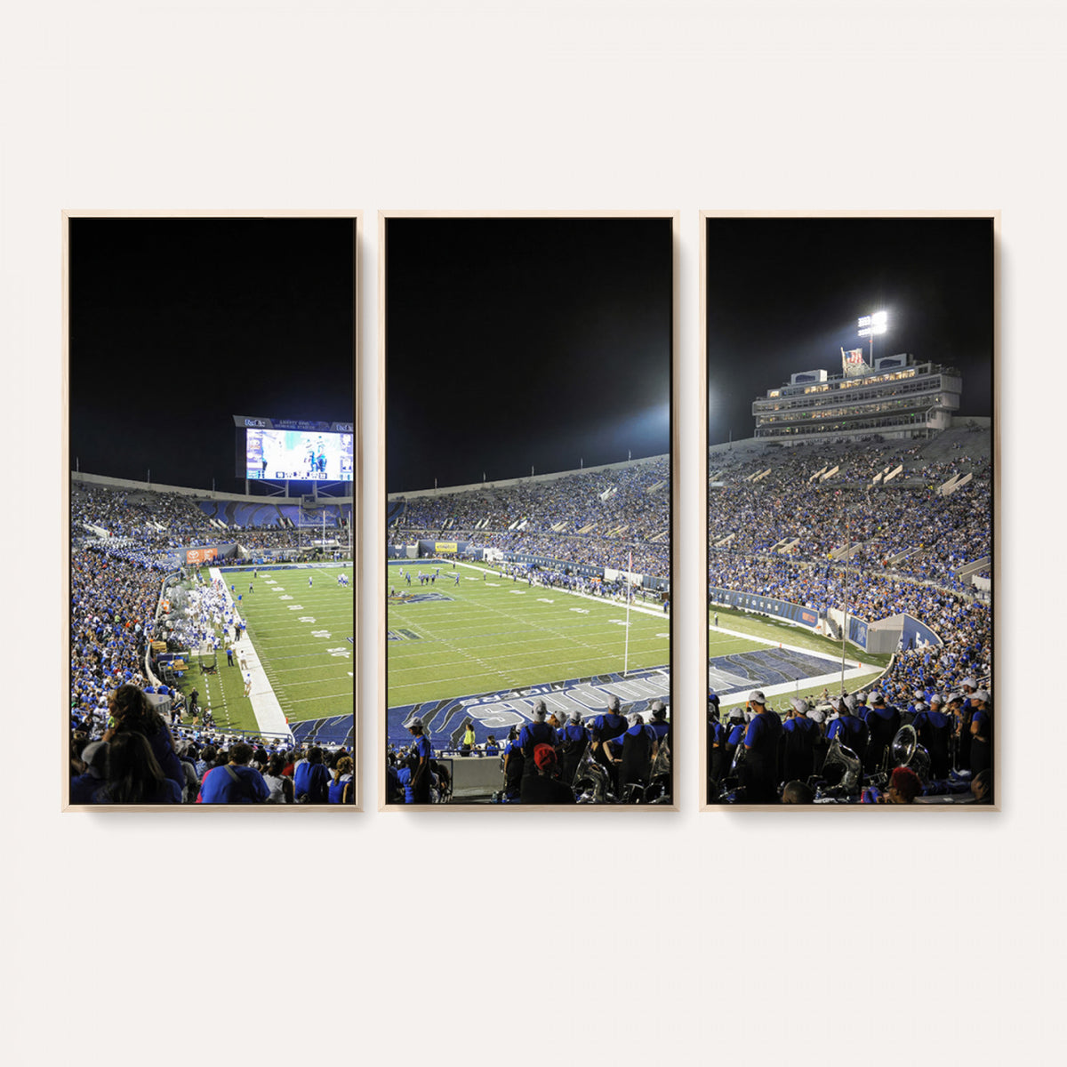 10894-PAN-FL-20X10 - University of Memphis Tigers Football Team Print - Memphis Simmons Bank Liberty Stadium Wall Art