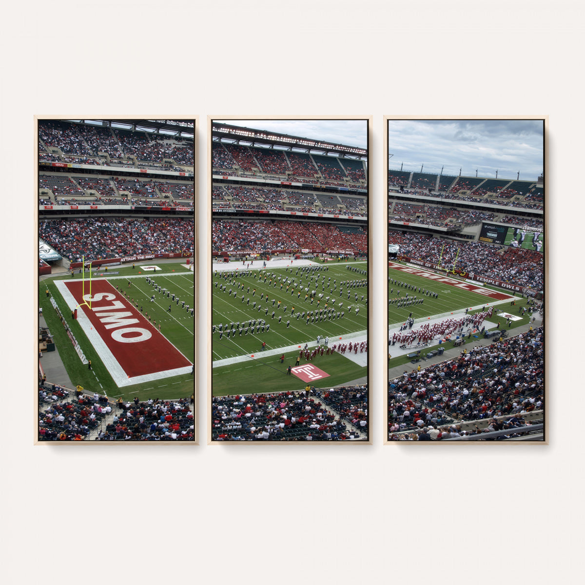15310-PAN-FL-20X10 - The Temple University Owls Athletics Team Print - Philadelphia Lincoln Financial Field Stadium Wall