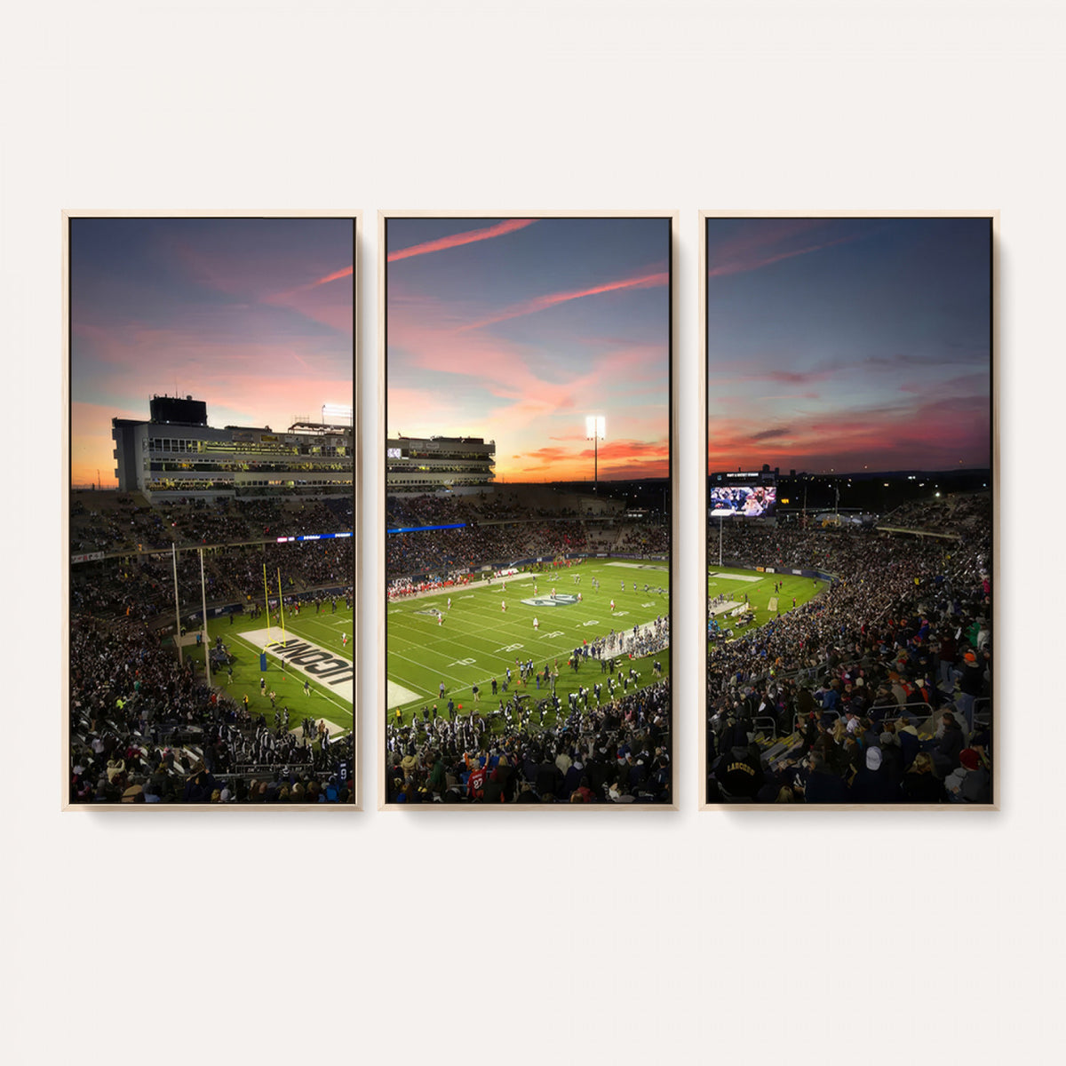 64416-MGV-CV-36X24 - The University of Connecticut UCONN Huskies Football Team Print, Framed and Ready to Hang