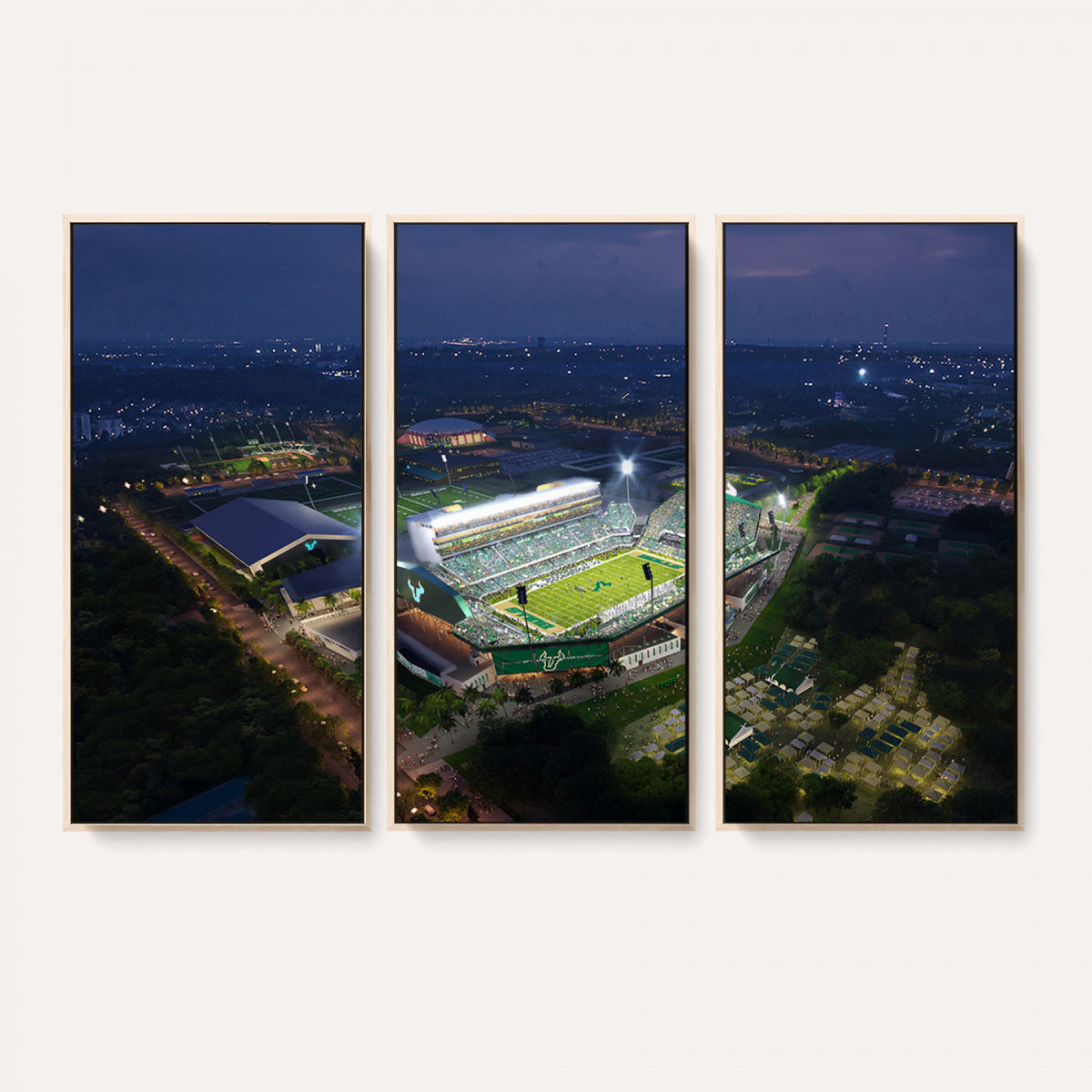 27554-MGV-CV-36X24 - The University of South Florida Bulls Football Team Print